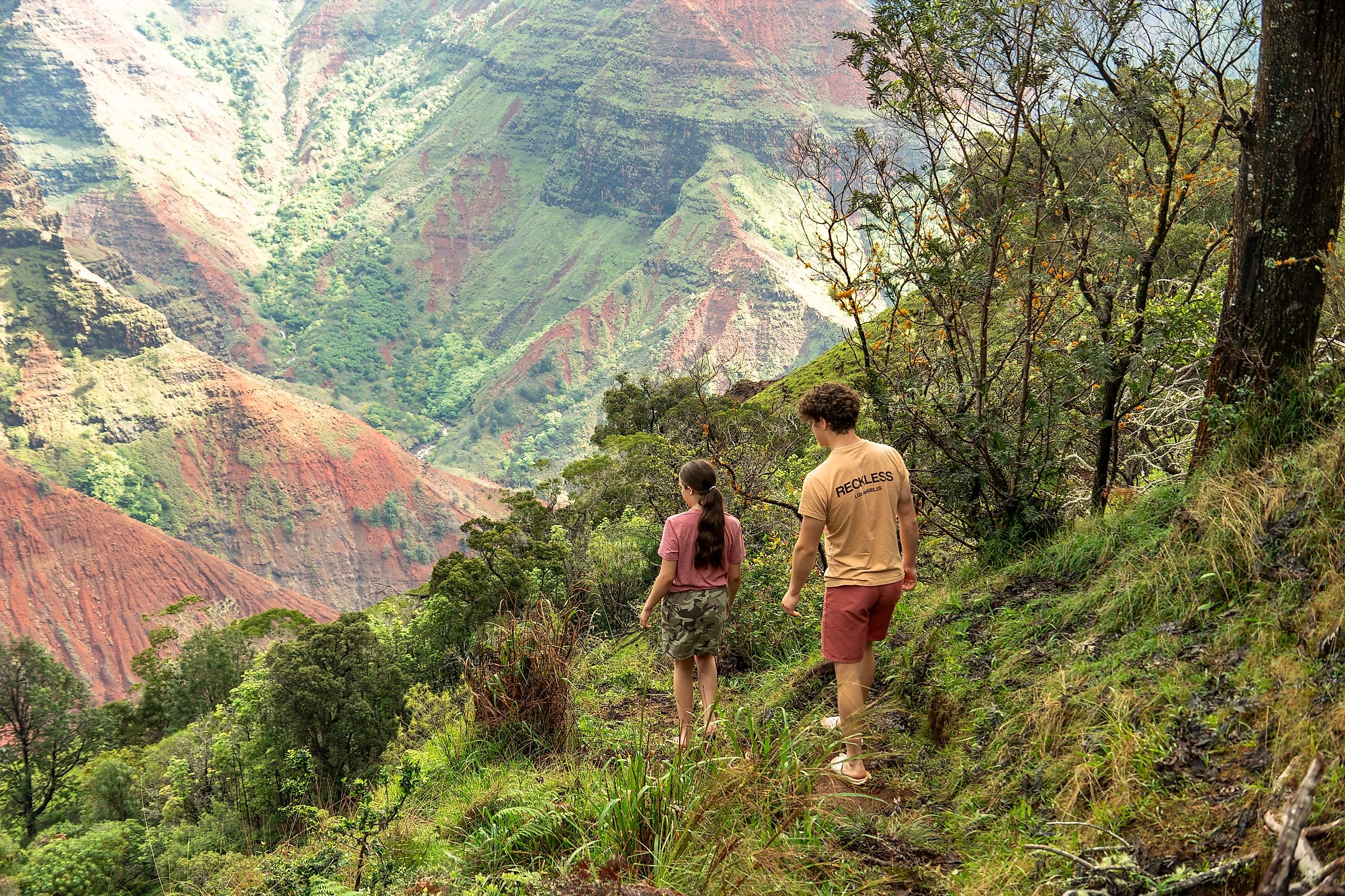 Waimea canyon in Kauai, Hawaii