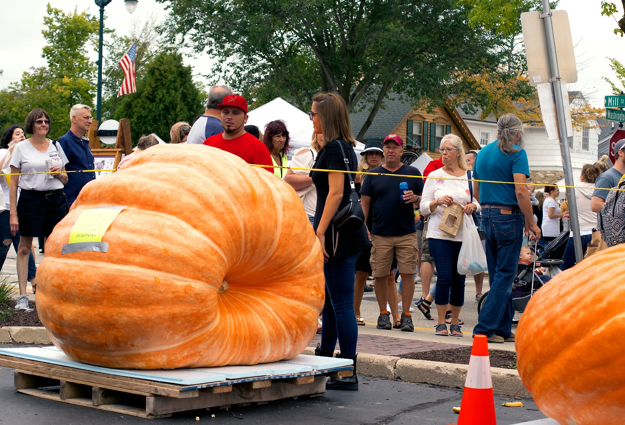 The annual Giant Pumpkin Weigh-Off, during Harvest Fest in Cedarburg, Wisconsin. Image credit Cindy Bird via Shutterstock