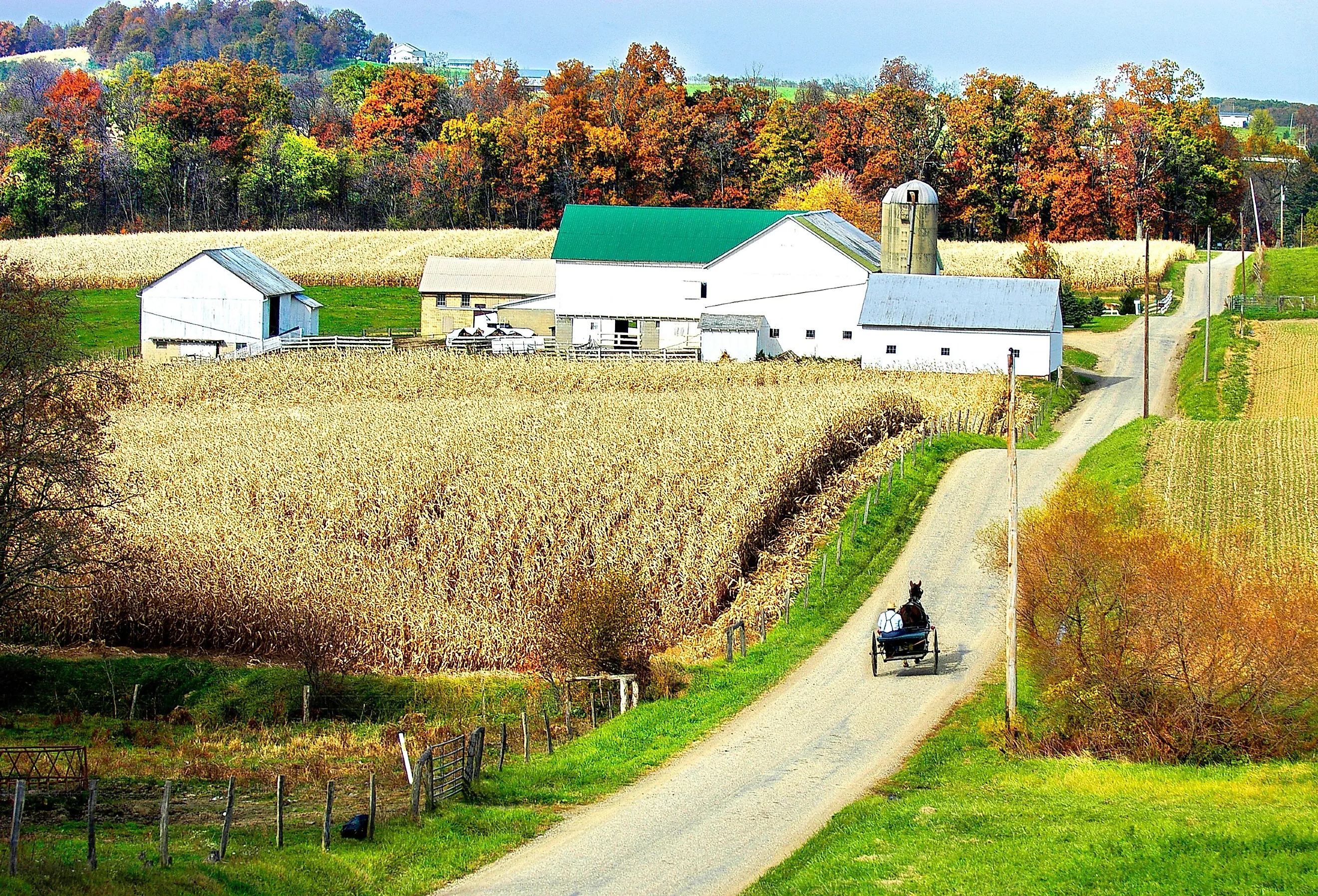 Amish horse and carriage near Sugarcreek, Ohio. Image credit Dennis MacDonald via Shutterstock