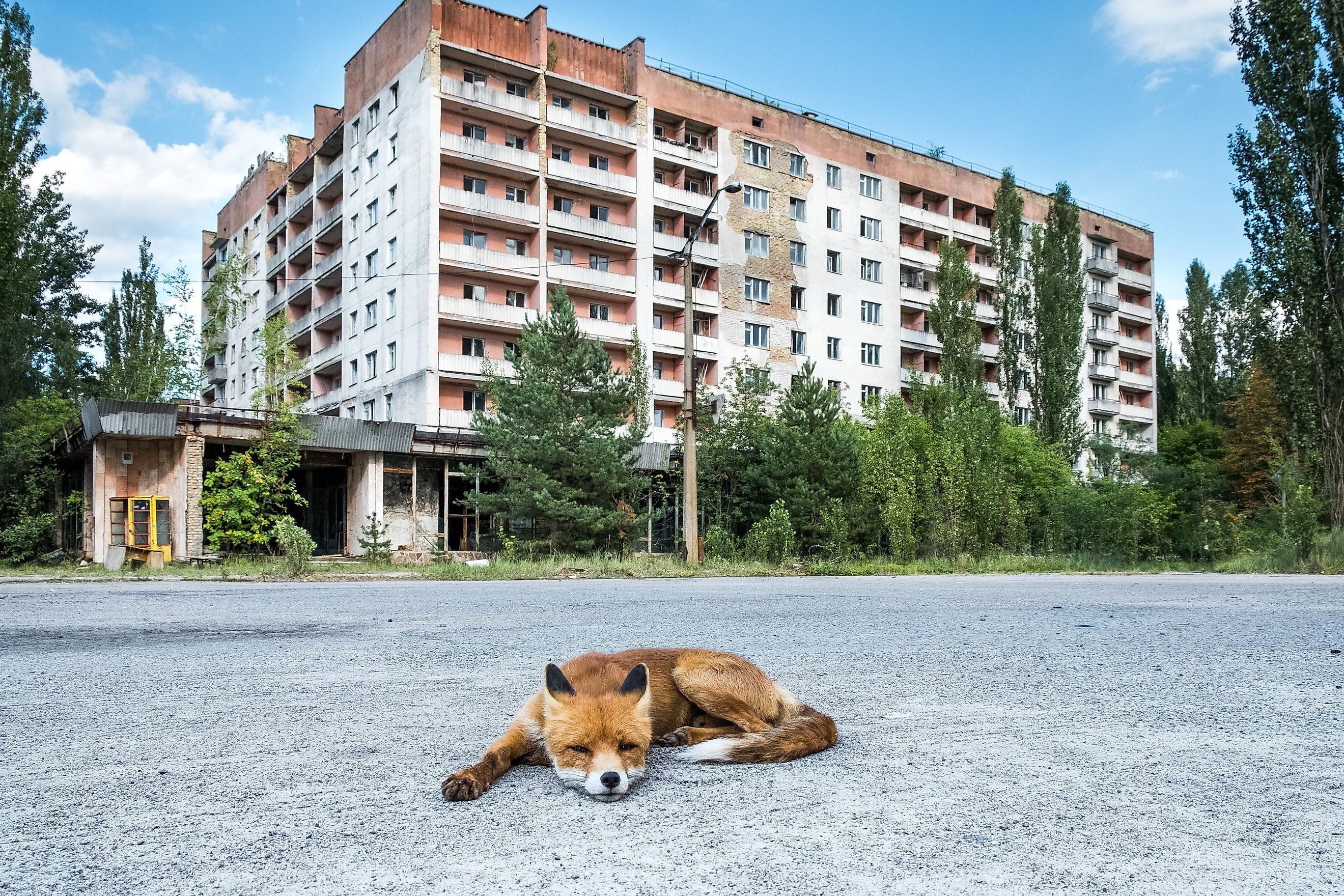 Does Chernobyl Have Mutated Animals WorldAtlas   Shutterstock 1332187709 