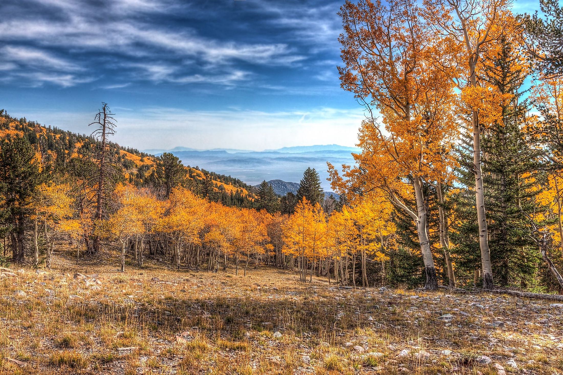 Wheeler Peak Trail in Great Basin National Park. 