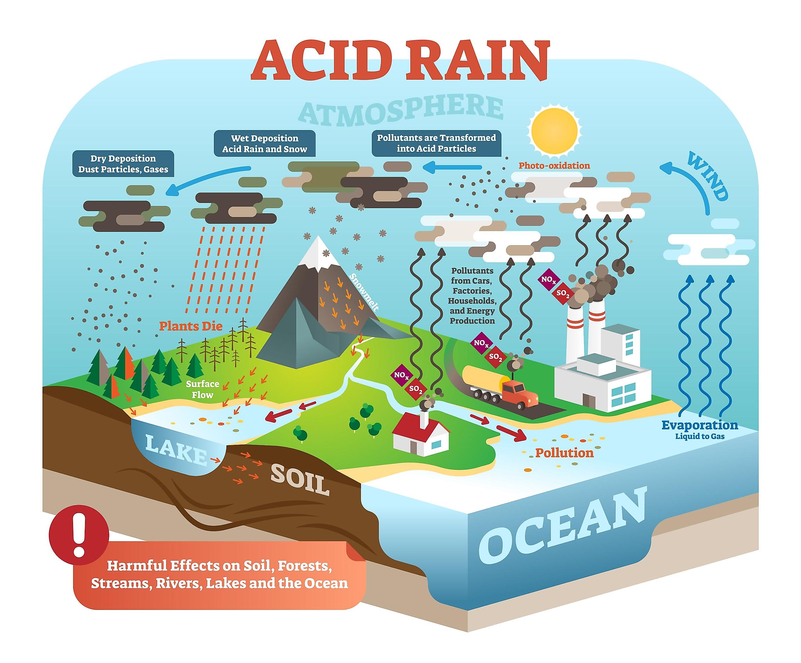 How Acid Precipitation Affects Soils And Plants