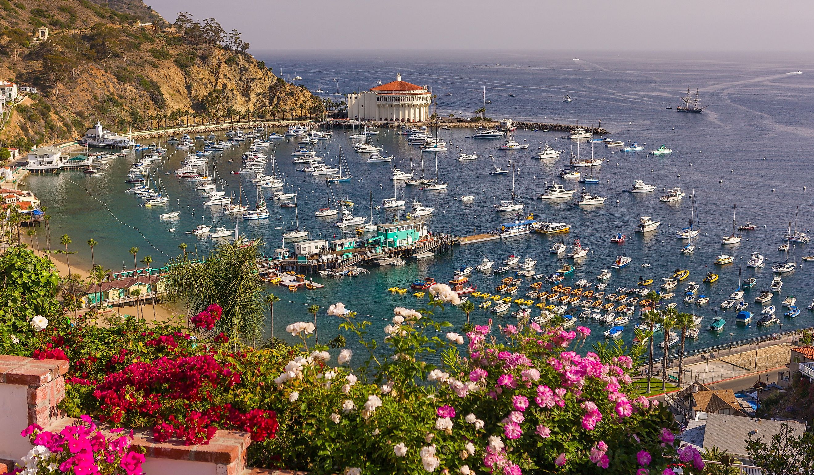 Flowers, harbor and Casino in town of Avalon, Santa Catalina Island. Editorial credit: Rob Crandall / Shutterstock.com