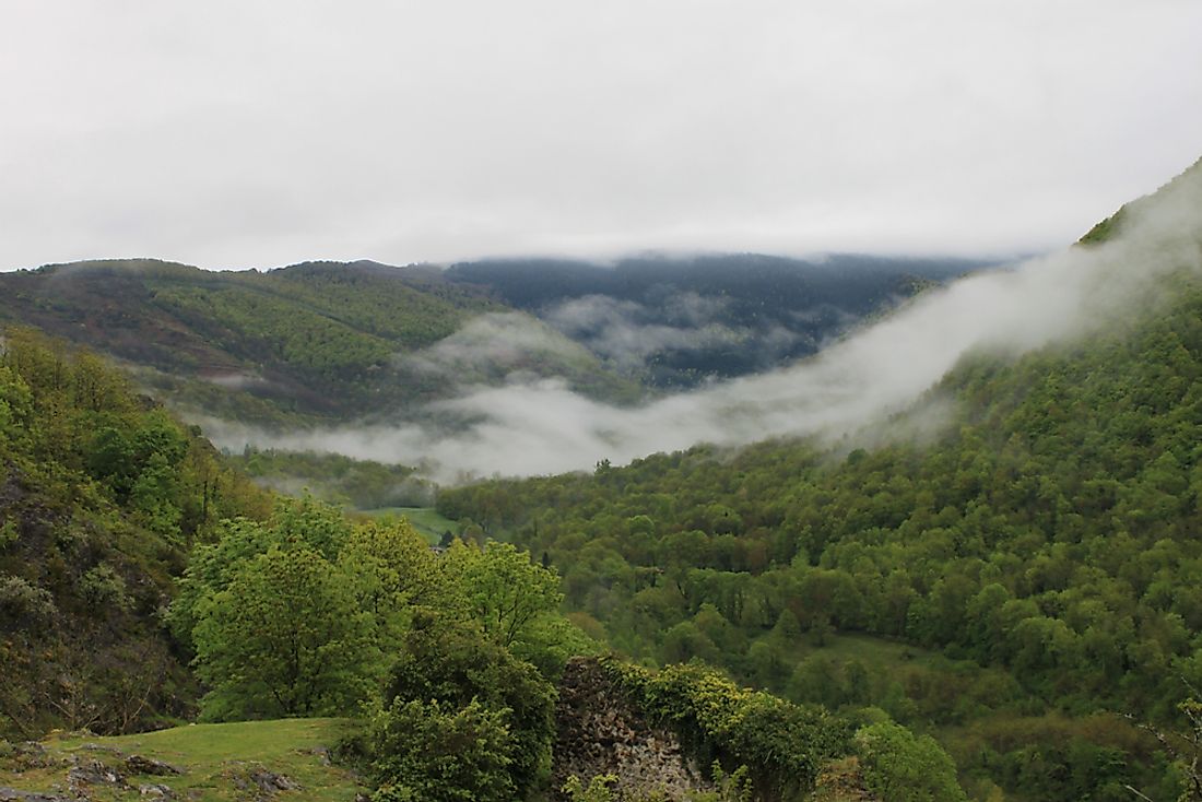 What Are The Different Types Of Fog? WorldAtlas