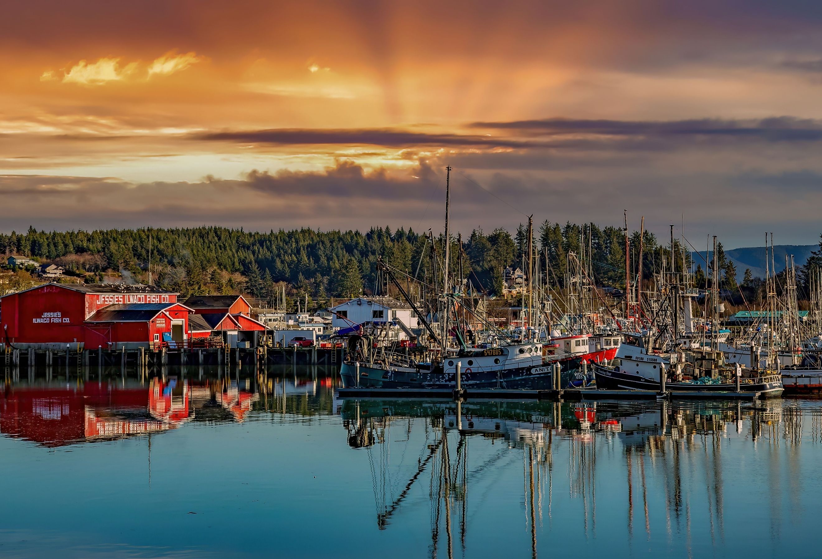 Commercial and sport fishing boats docked at Ilwaco boat basin, Ilwaco. Image credit Bob Pool via Shutterstock.