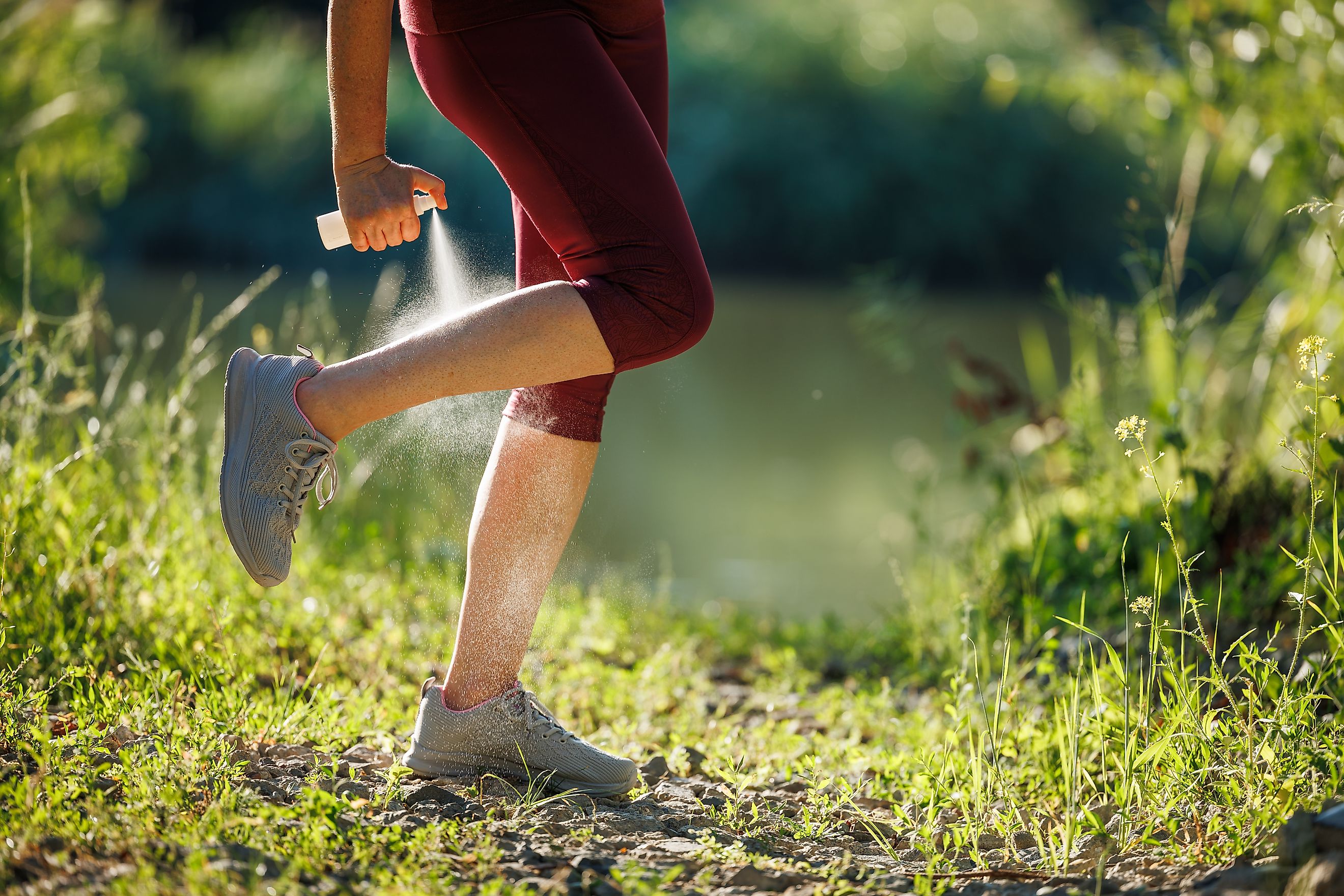 Woman applying insect repellent against mosquito and tick on her leg before jogging in nature