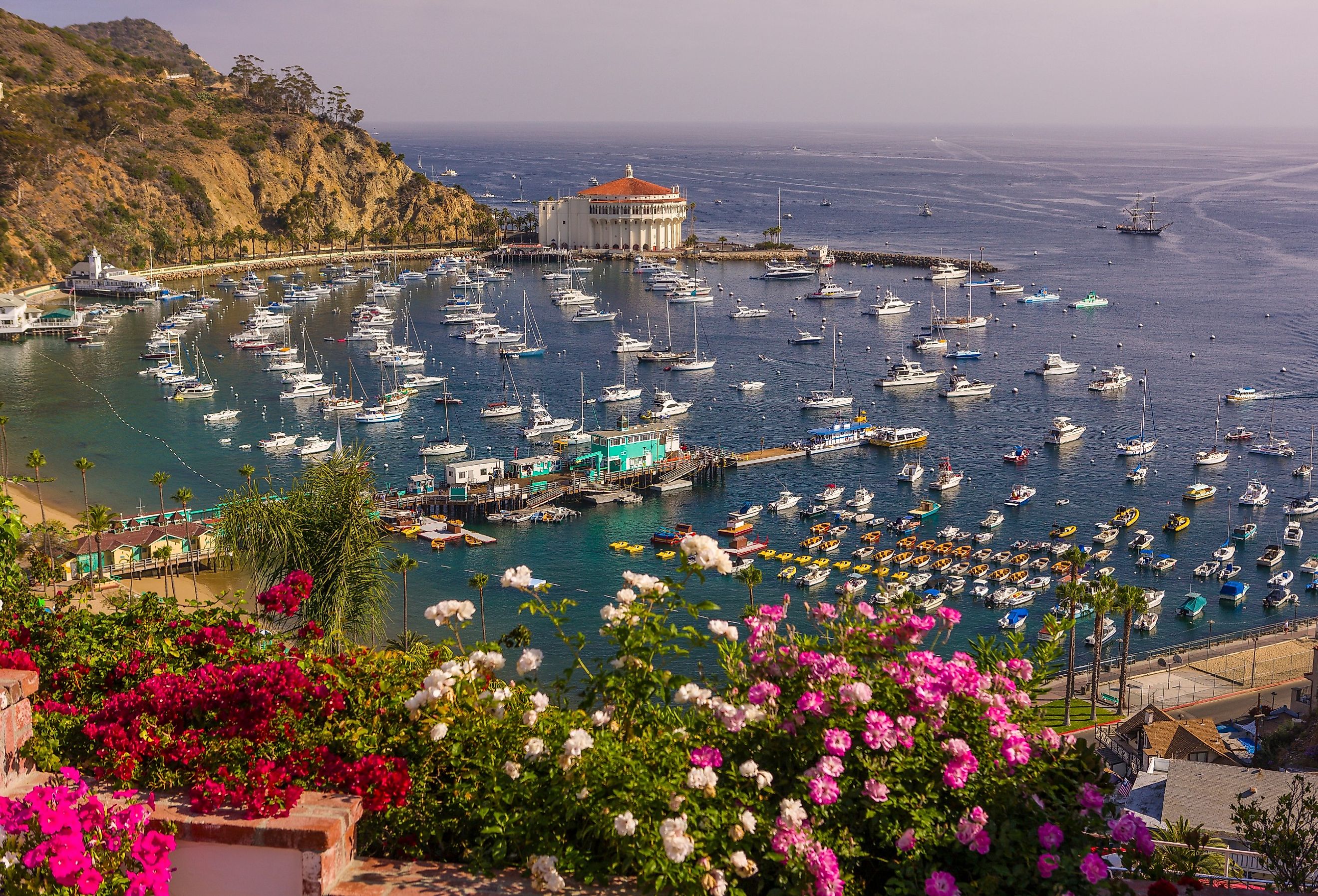 Flowers, harbor and Casino in the isolated town of Avalon, Santa Catalina Island. Image credit Rob Crandall via Shutterstock