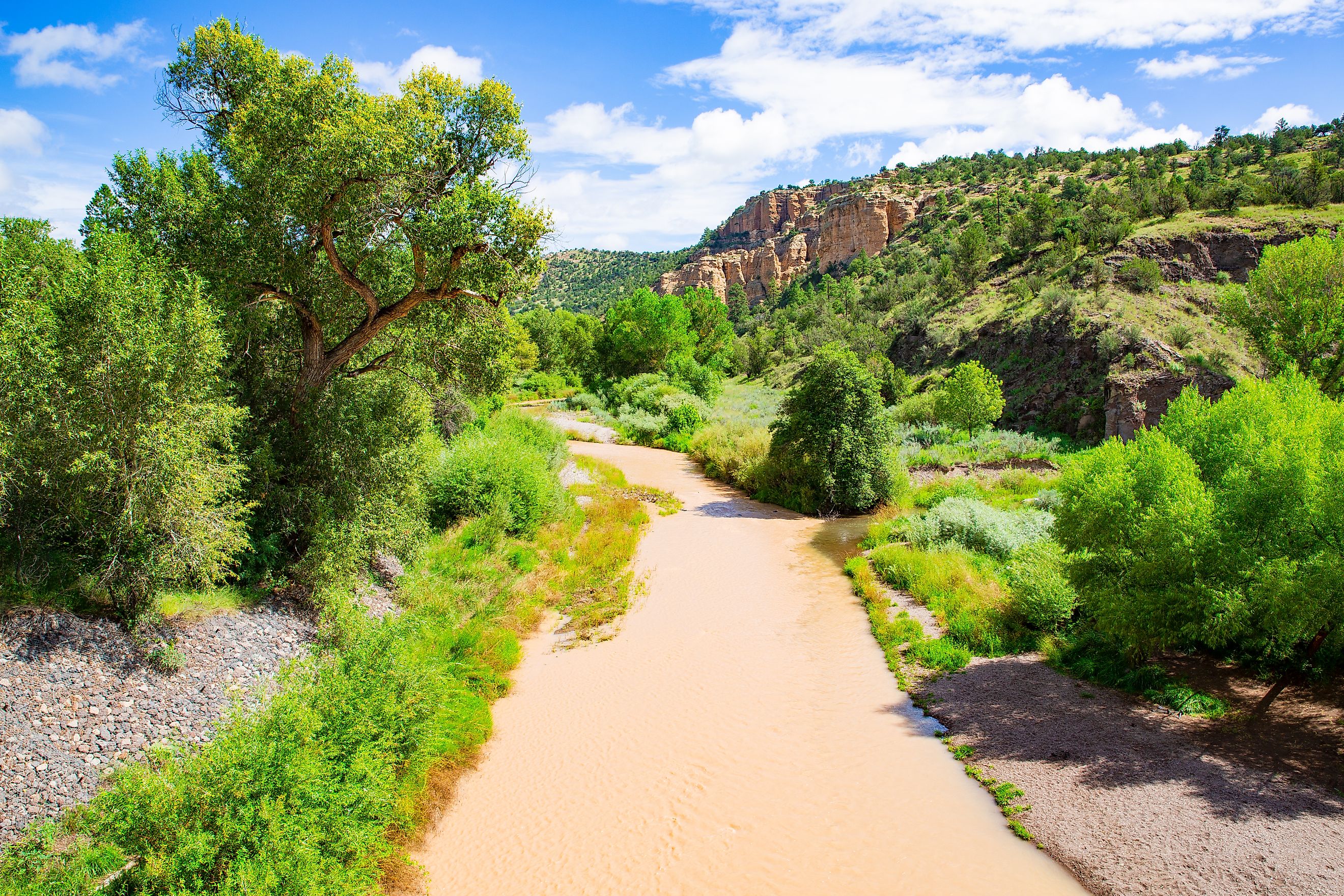 Gila River in Gila National Forest, New Mexico