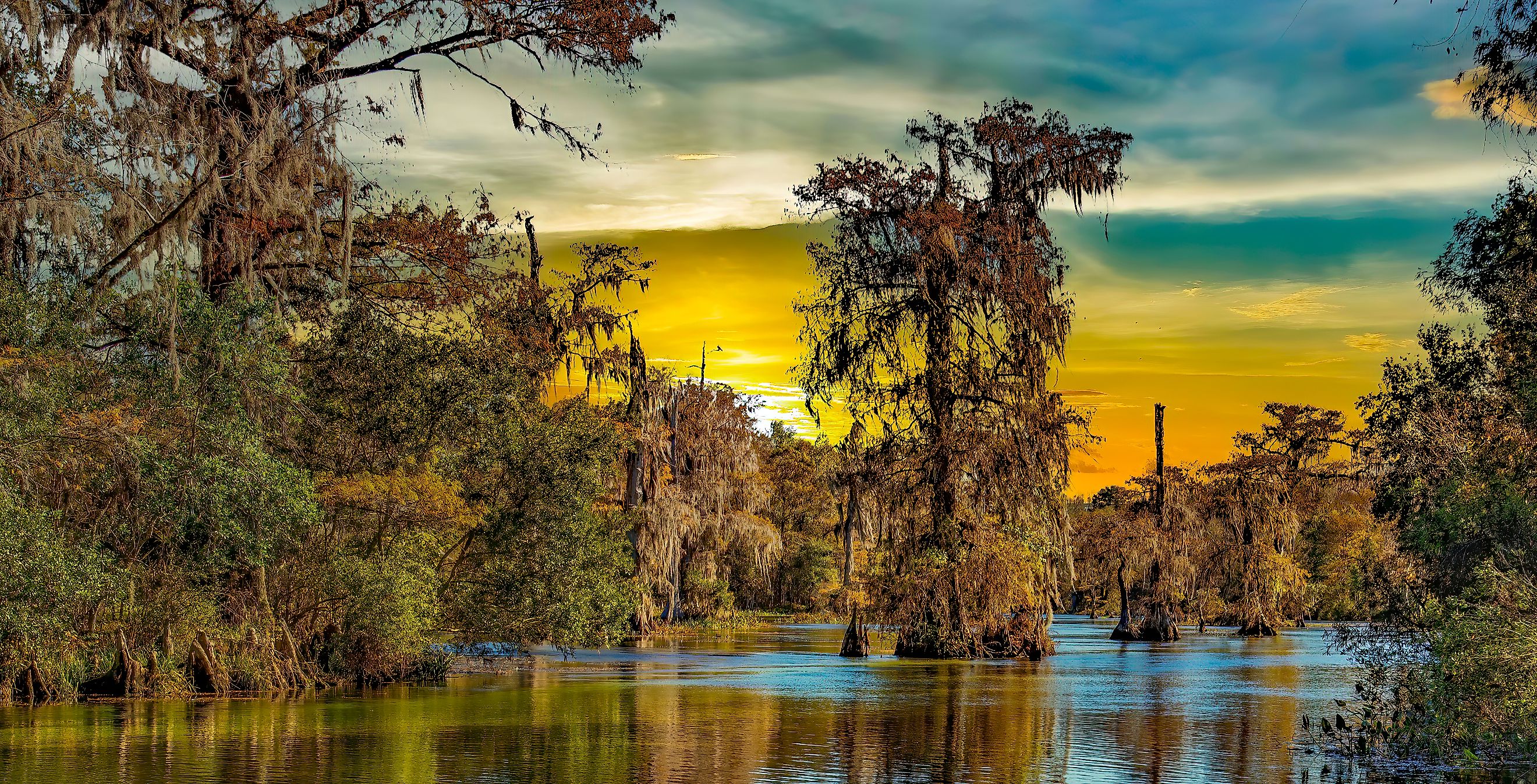 Photo of a Louisiana swamp and bayou, featuring calm, reflective water surrounded by moss-draped cypress trees.