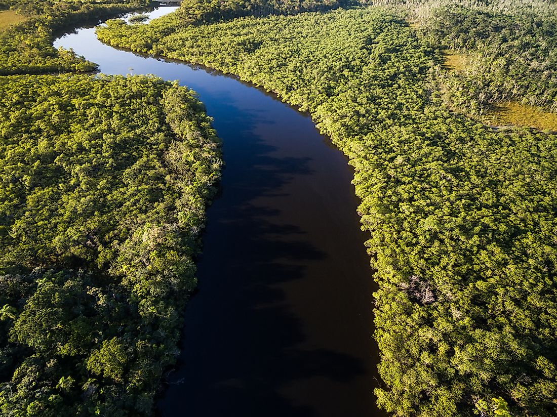 5 Countries With the Largest Rainforest Coverage - WorldAtlas