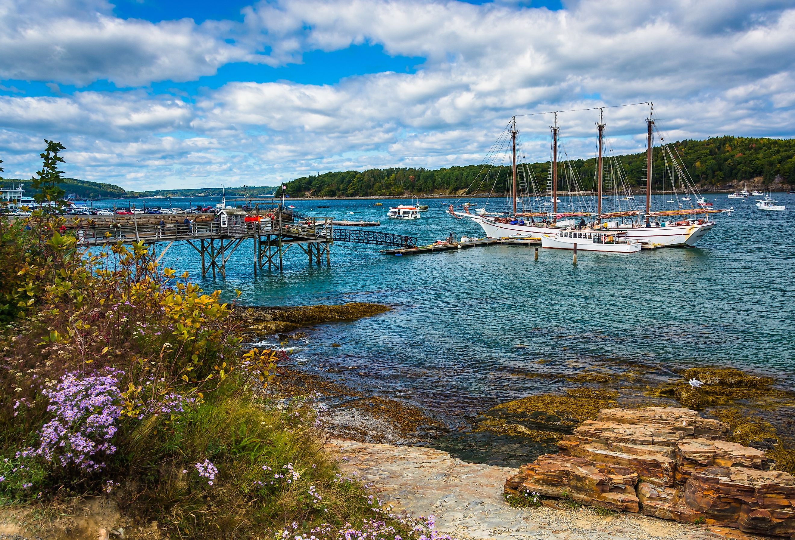 Should I Vacation in Cap Cod or Bar Harbor? Which Is Better?