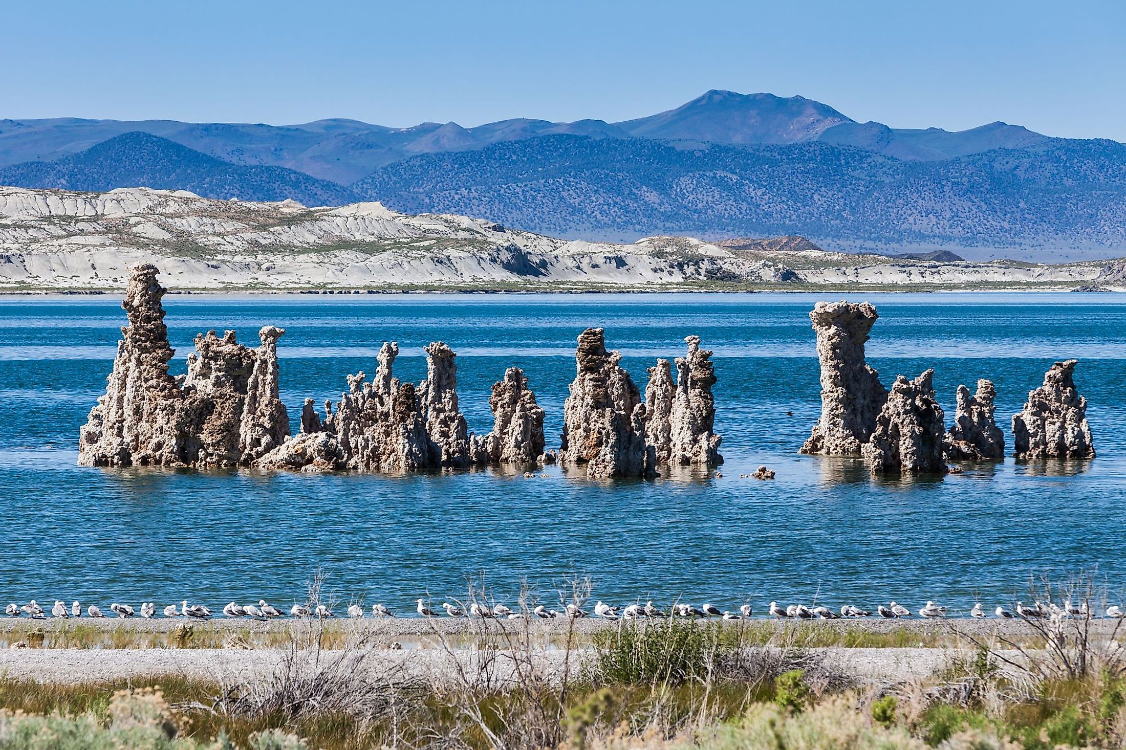 Mono Lake California WorldAtlas