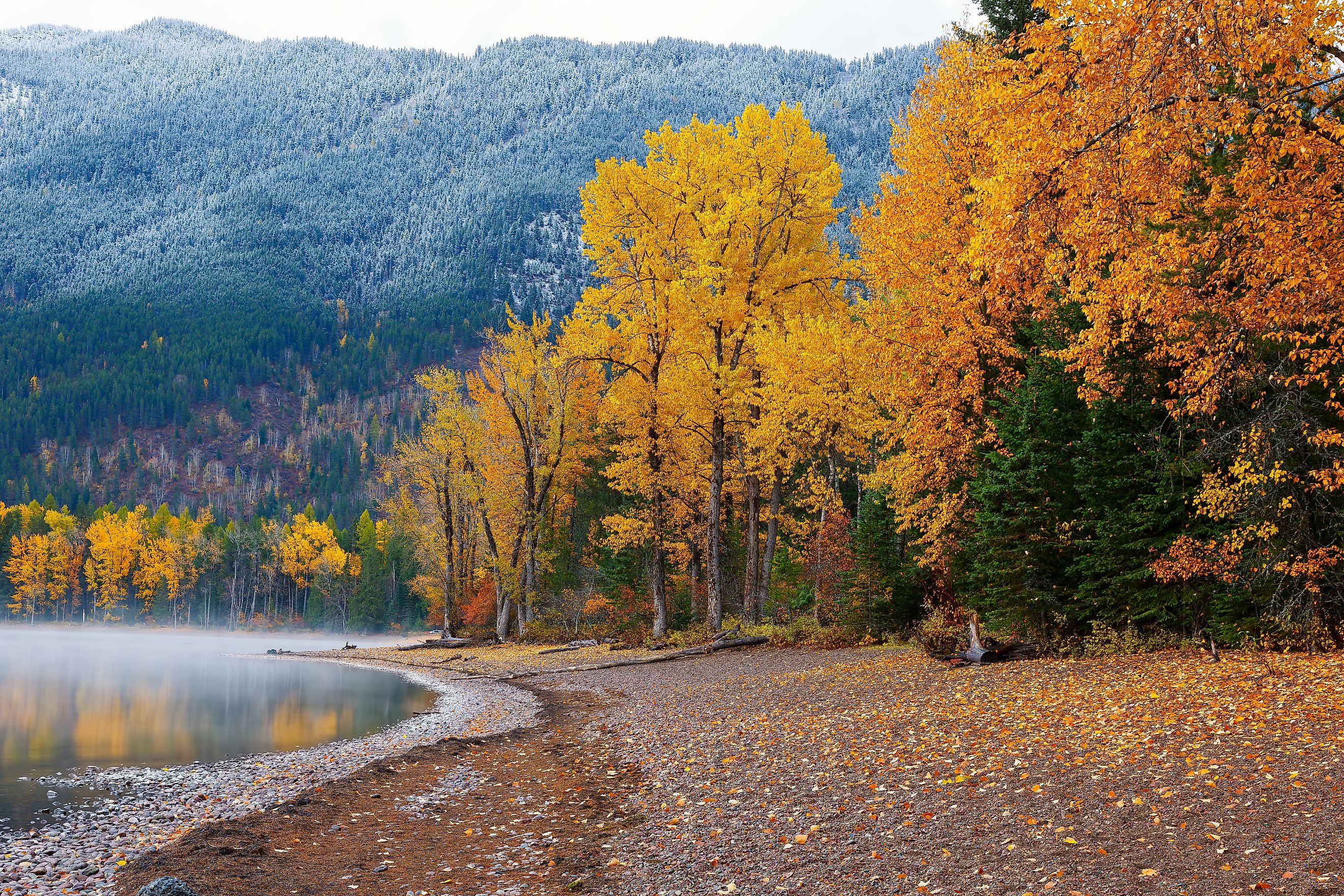 Fall foliage along the shore of Lake McDonald in Glacier National Park in Montana.