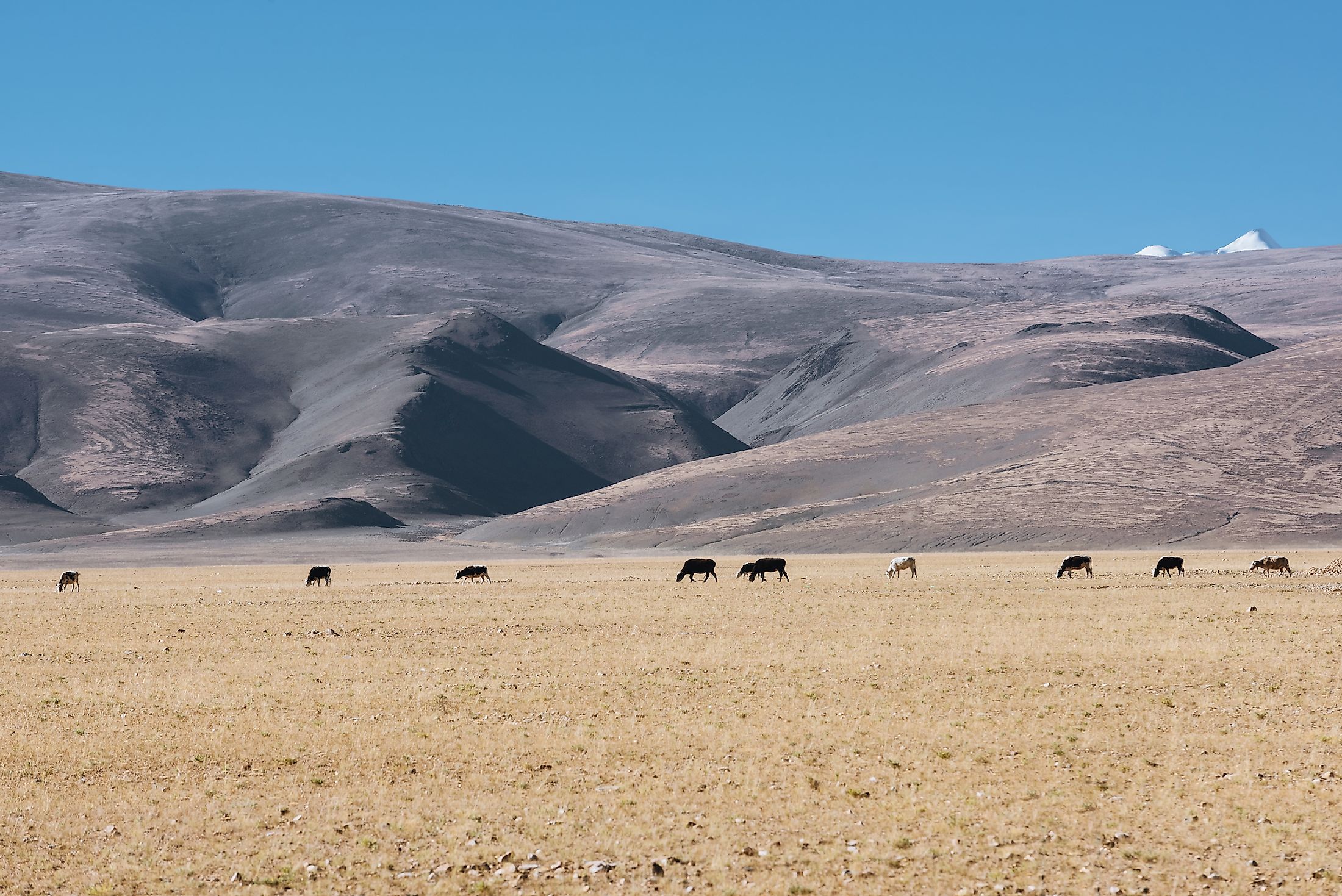 What Are The Different Types Of Plateaus WorldAtlas