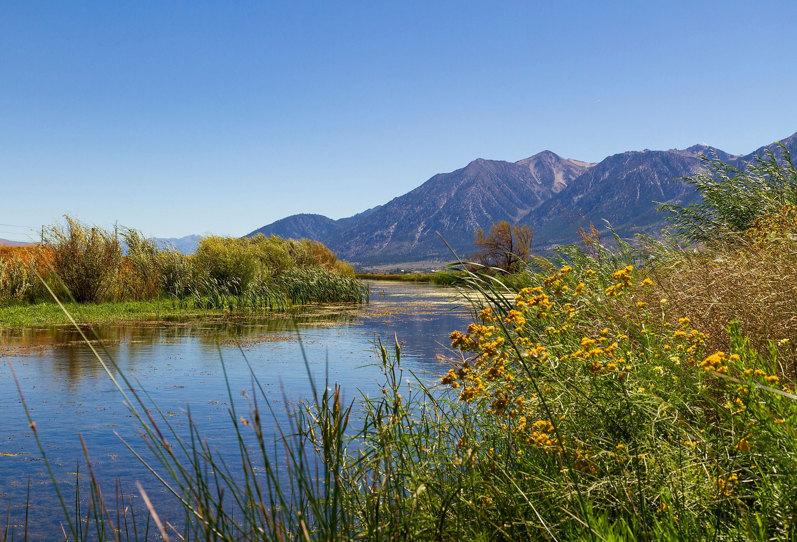 View from a bend in the West Fork Carson River near Genoa, Nevada, looking towards the Pine Nut Mountains. Image credit mllejules via Shutterstock.