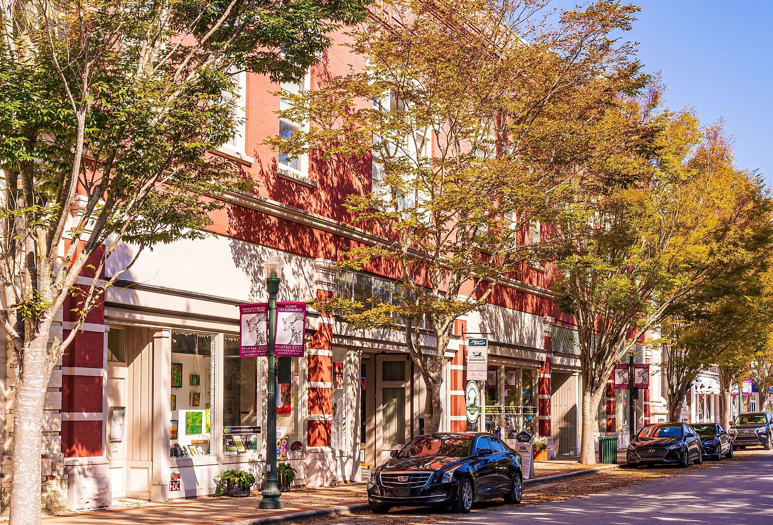 Shady Trees line the sidewalk in the New Bern Historic District.