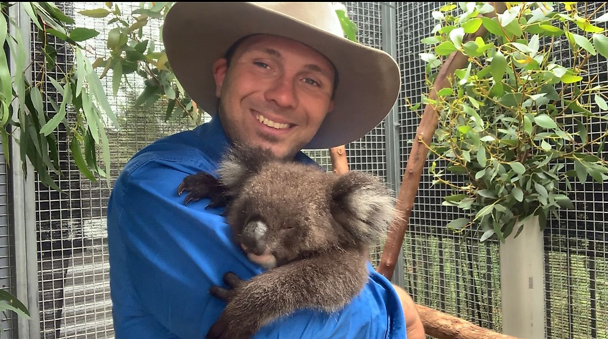 Wildlife Battered By Australia’s Bushfires Needs Your Help: What Can ...