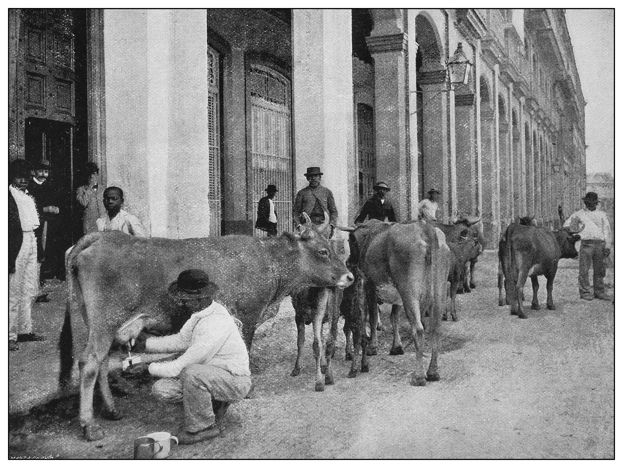 Antique black and white photo: Havana Milkman