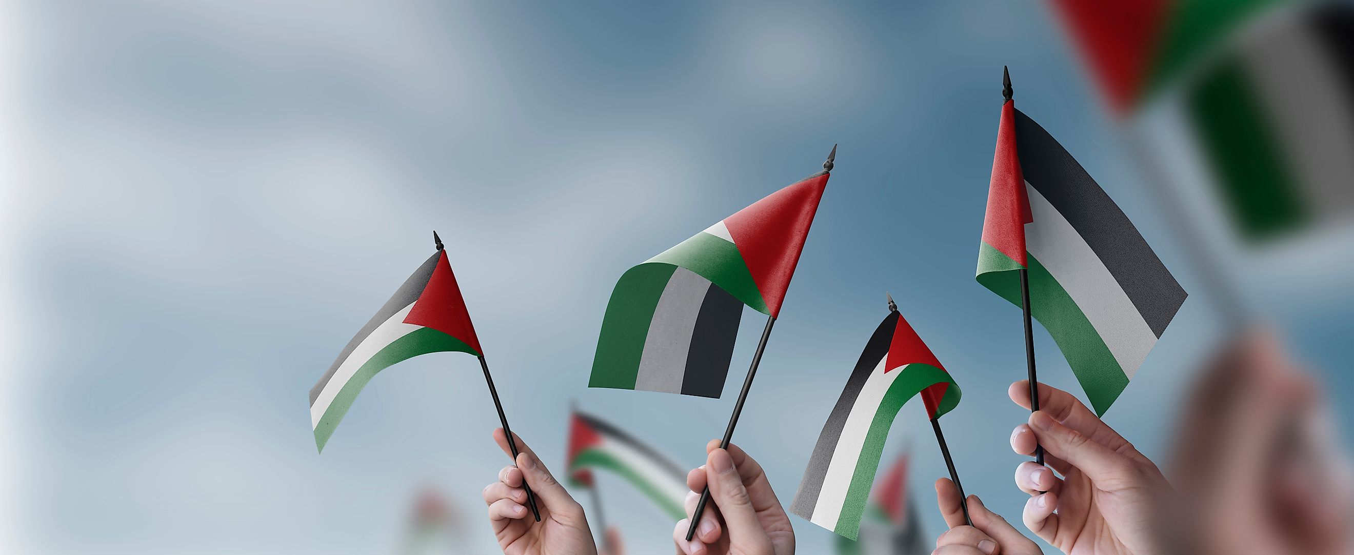 A group of people waving Palestinian flags