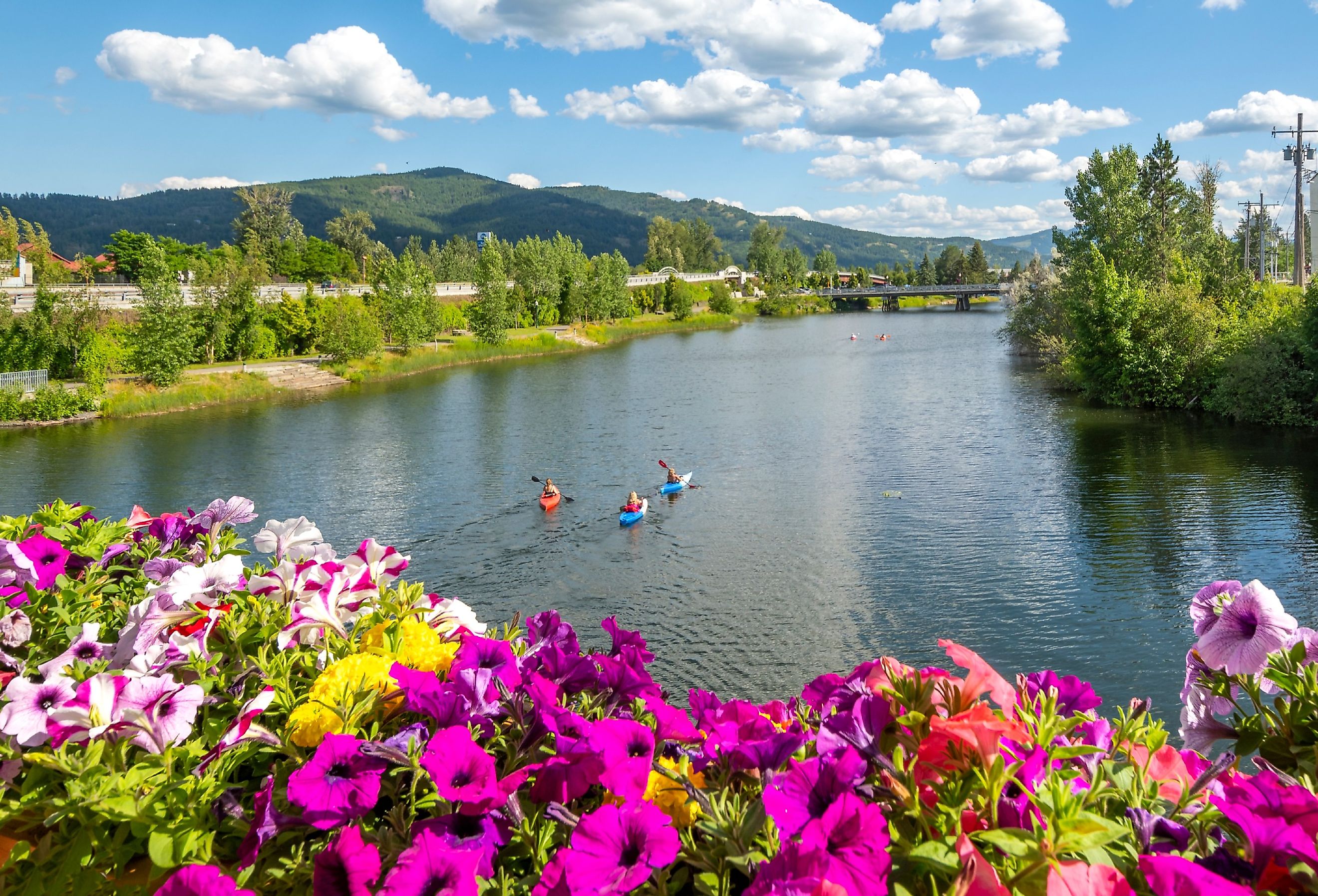 A group of kayakers enjoy a beautiful summer day on Sand Creek River and Lake Pend Oreille in the downtown area of Sandpoint, Idaho. 