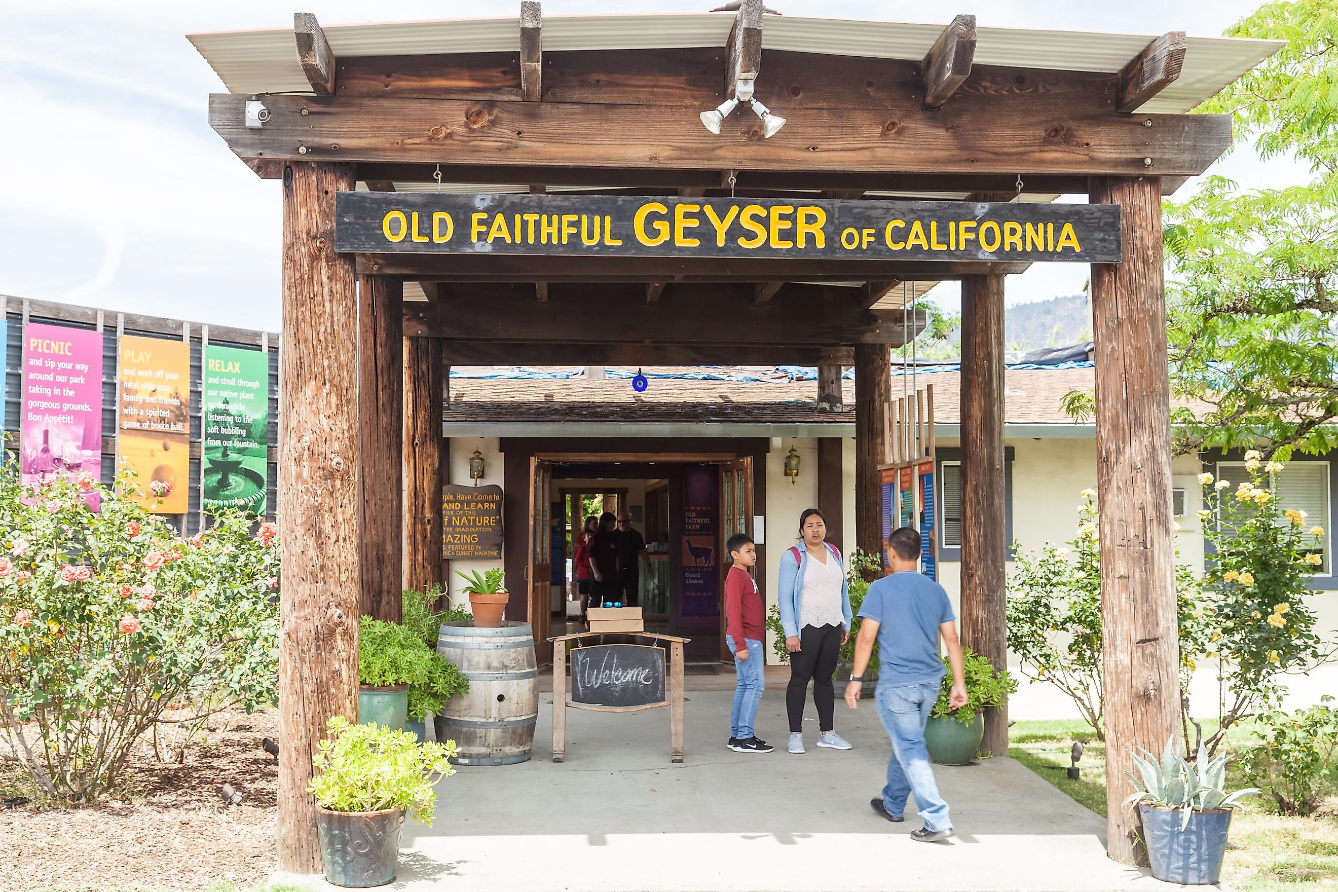 Calistoga,CA-June 15,2019:Old Faithful Geyser in Calistoga,Napa Valley, California