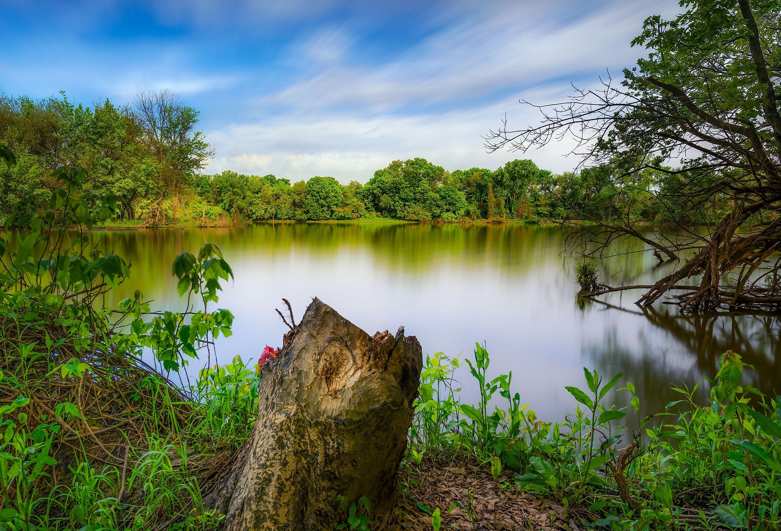 A beautiful scene of the Loop Island Wetlands in New Albany Indiana with trees against a blue cloudy sky