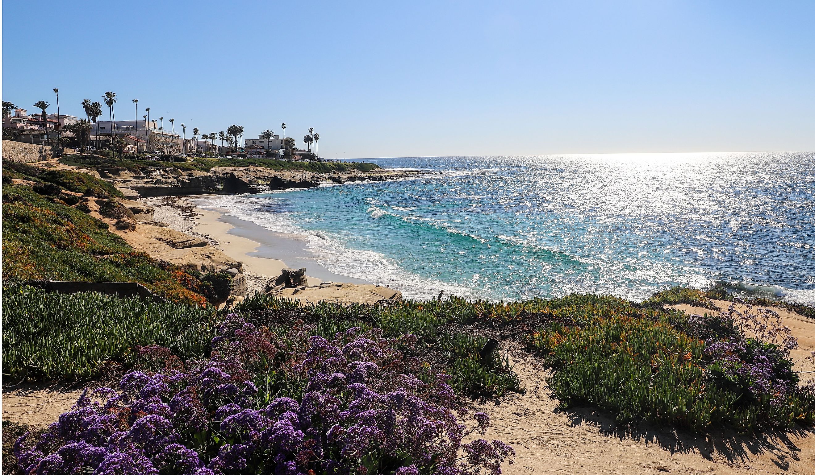 San Diego, La jolla. 