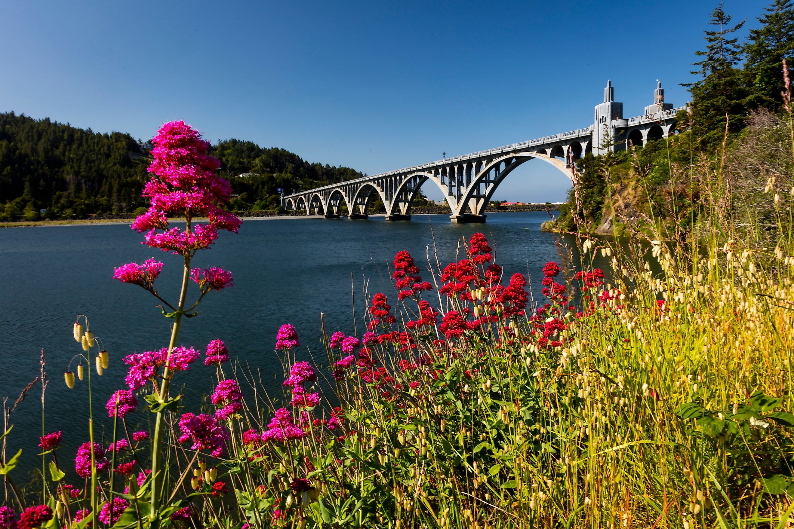 Isaac Lee Patterson Bridge in Gold Beach, Oregon.