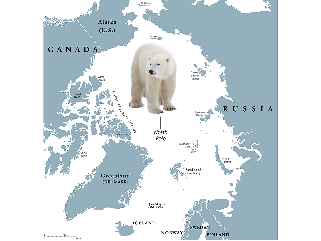 Where Do Polar Bears Live WorldAtlas