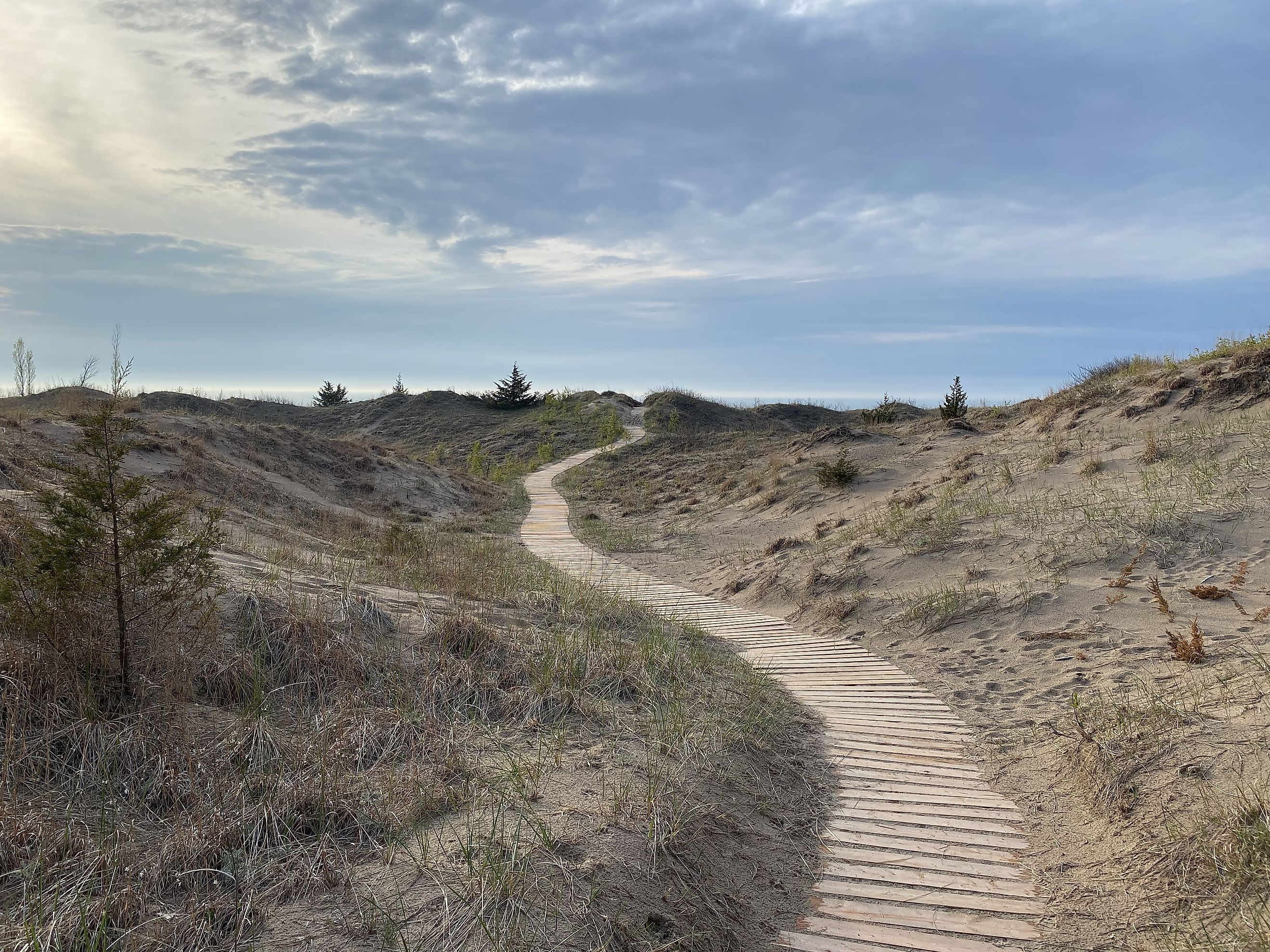 One of the Pinery’s many beautiful boardwalks leading through the delicate dunes and to the lengthy beach. Photo: Andrew Douglas
