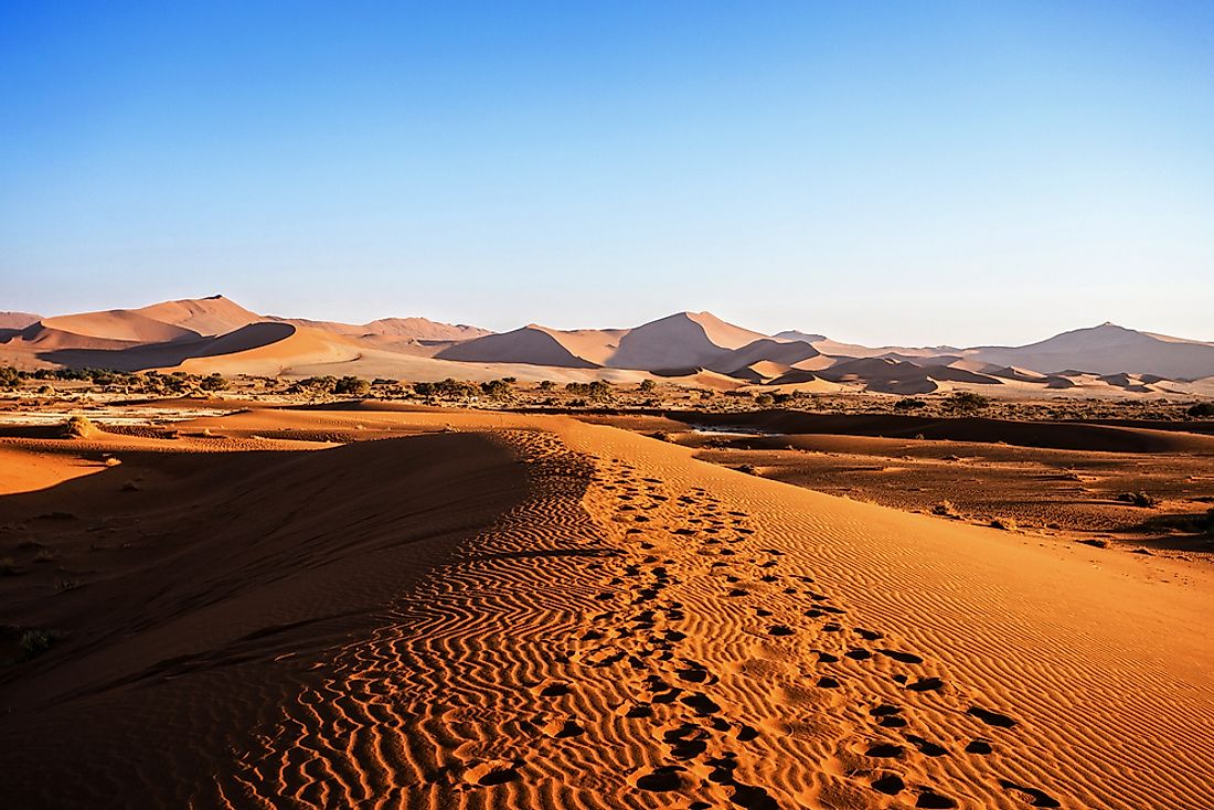 animals-that-live-in-the-namib-desert-worldatlas