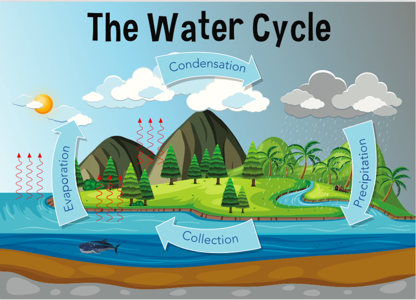 Here's How Rivers Are Actually Formed - WorldAtlas