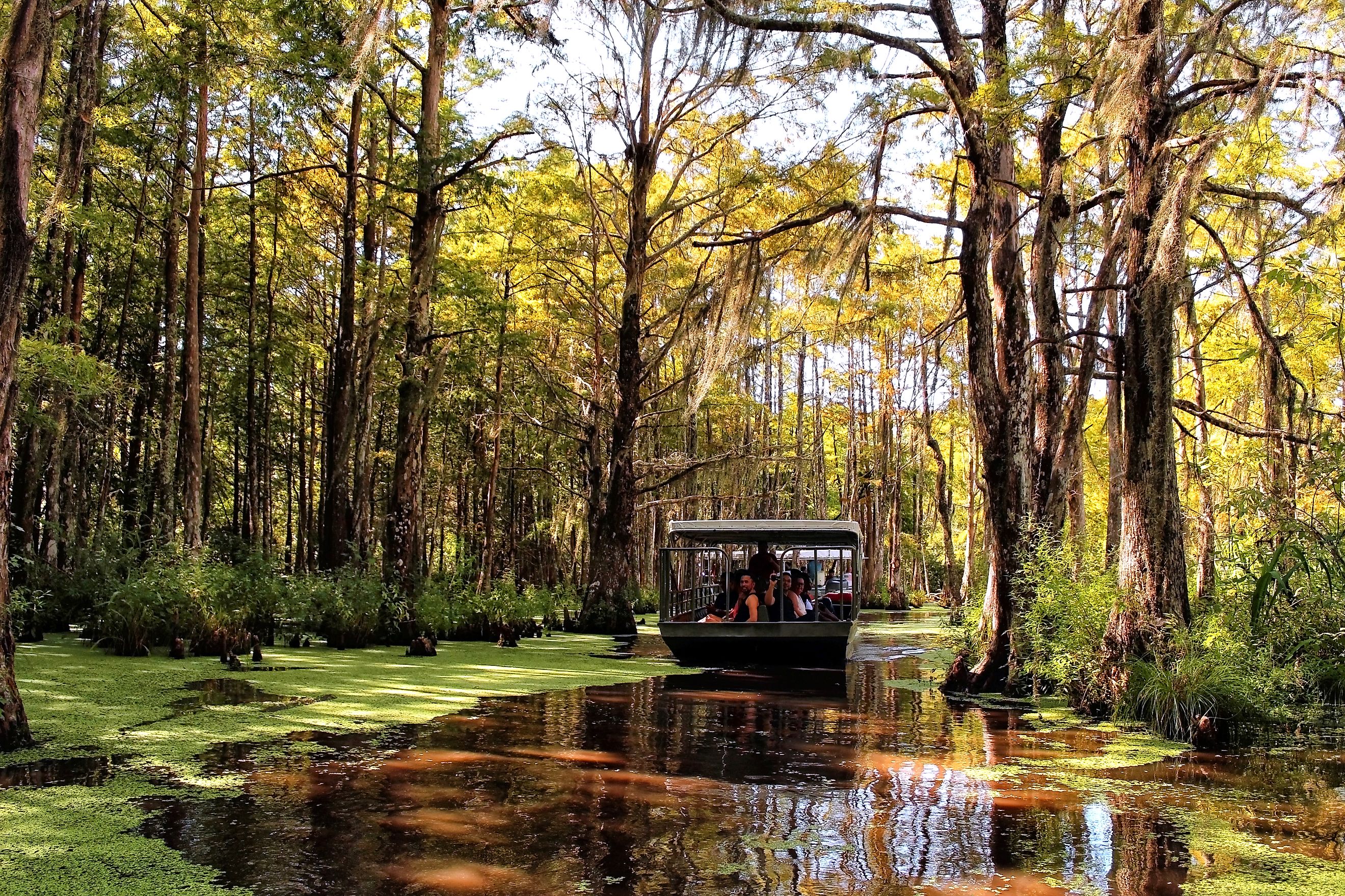 The Barataria Swamps around New Orleans, Louisiana. Editorial credit: LB Houston / Shutterstock.com.