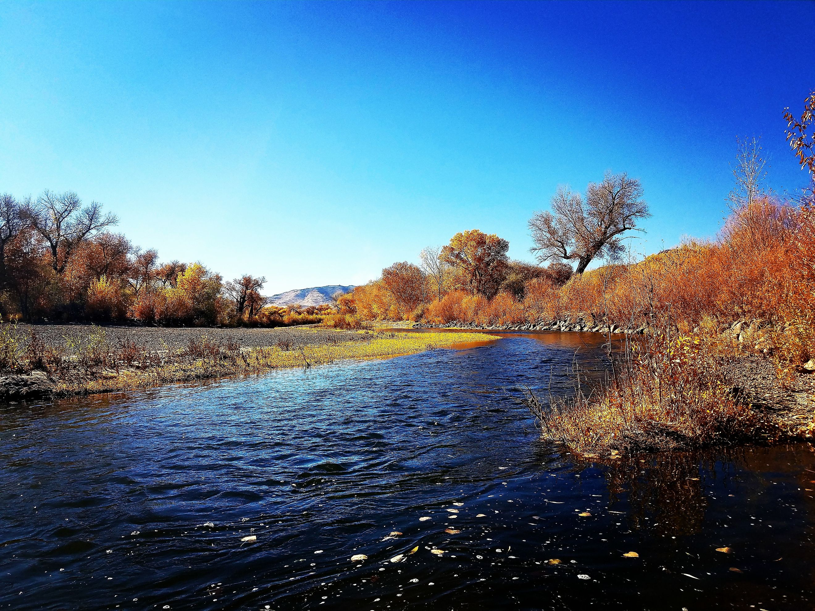 Scenic view of the Carson River flowing through Dayton, Nevada. Editorial credit: Brenda Daly / Shutterstock.com