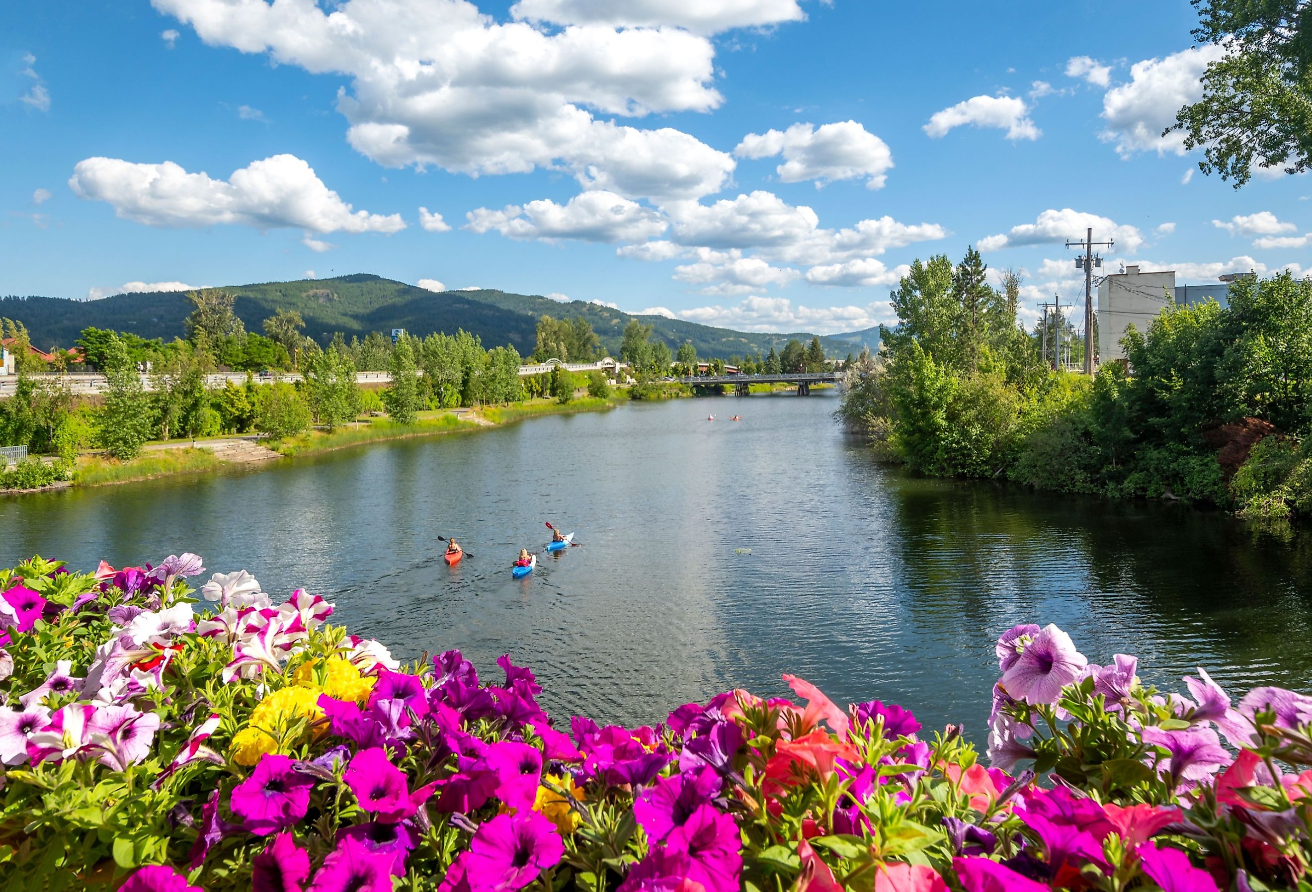 A group of kayakers enjoy a beautiful summer day on Sand Creek River and Lake Pend Oreille in the downtown area of Sandpoint, Idaho, USA