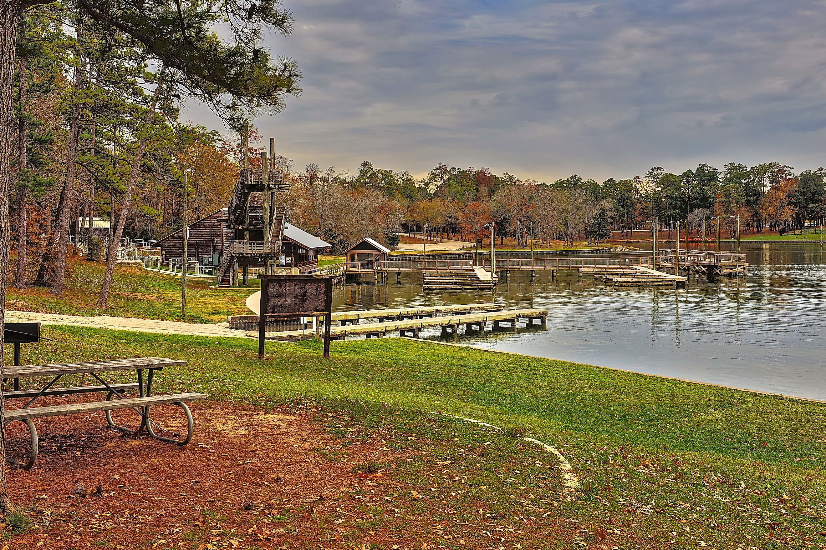 Fall foliage along the coast of Lake Livingston in Texas.