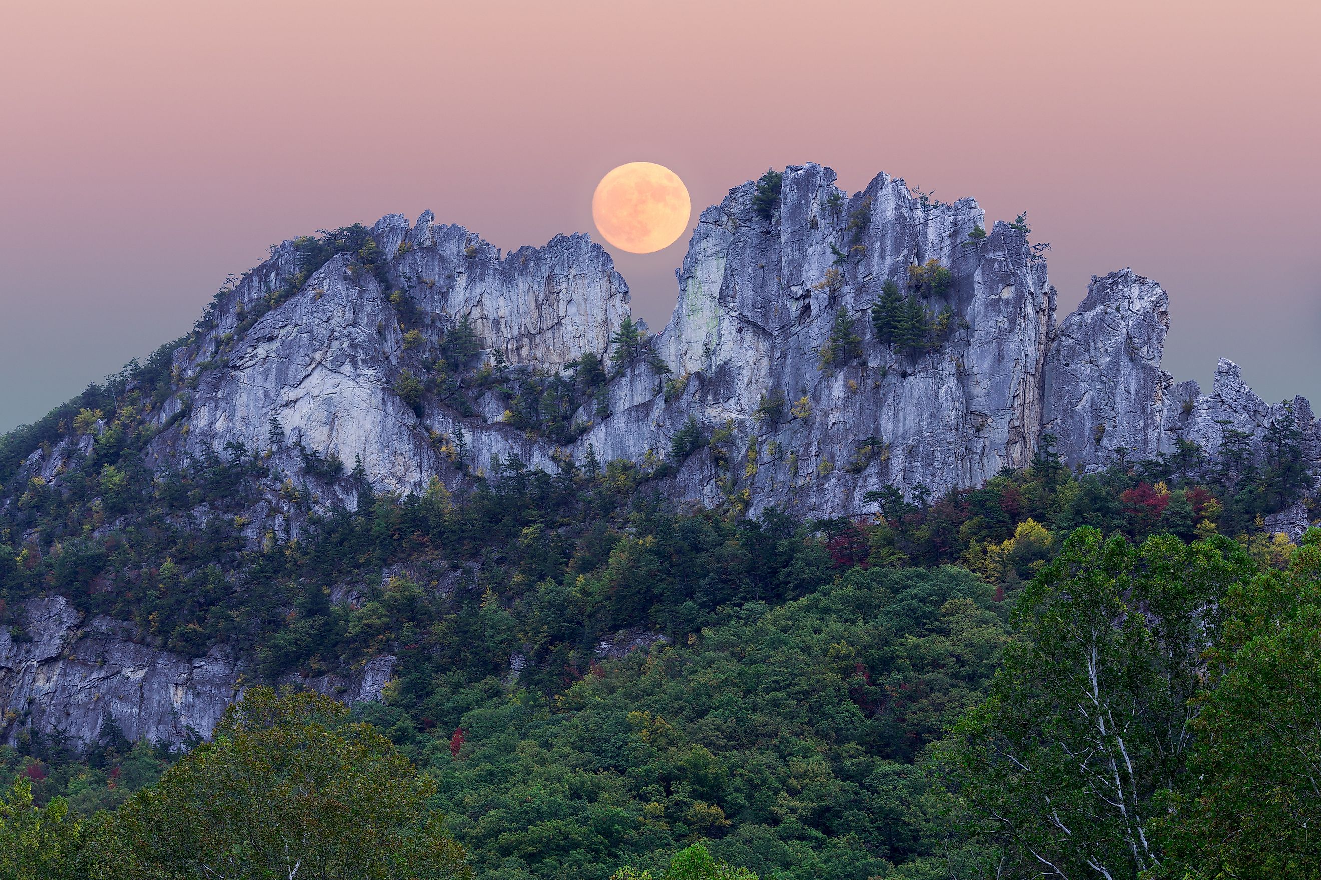 West Virginia's beautiful ecosystems are full of wildlife, some dangerous. 