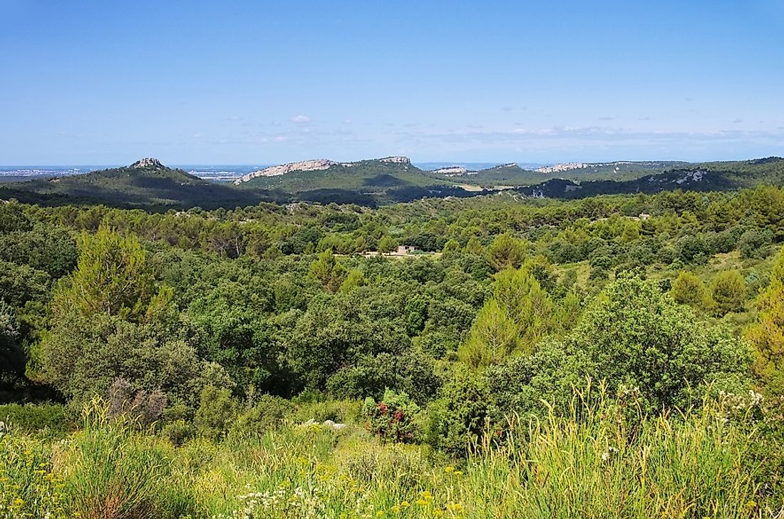 the-different-types-of-shrubland-biomes-across-the-world-worldatlas