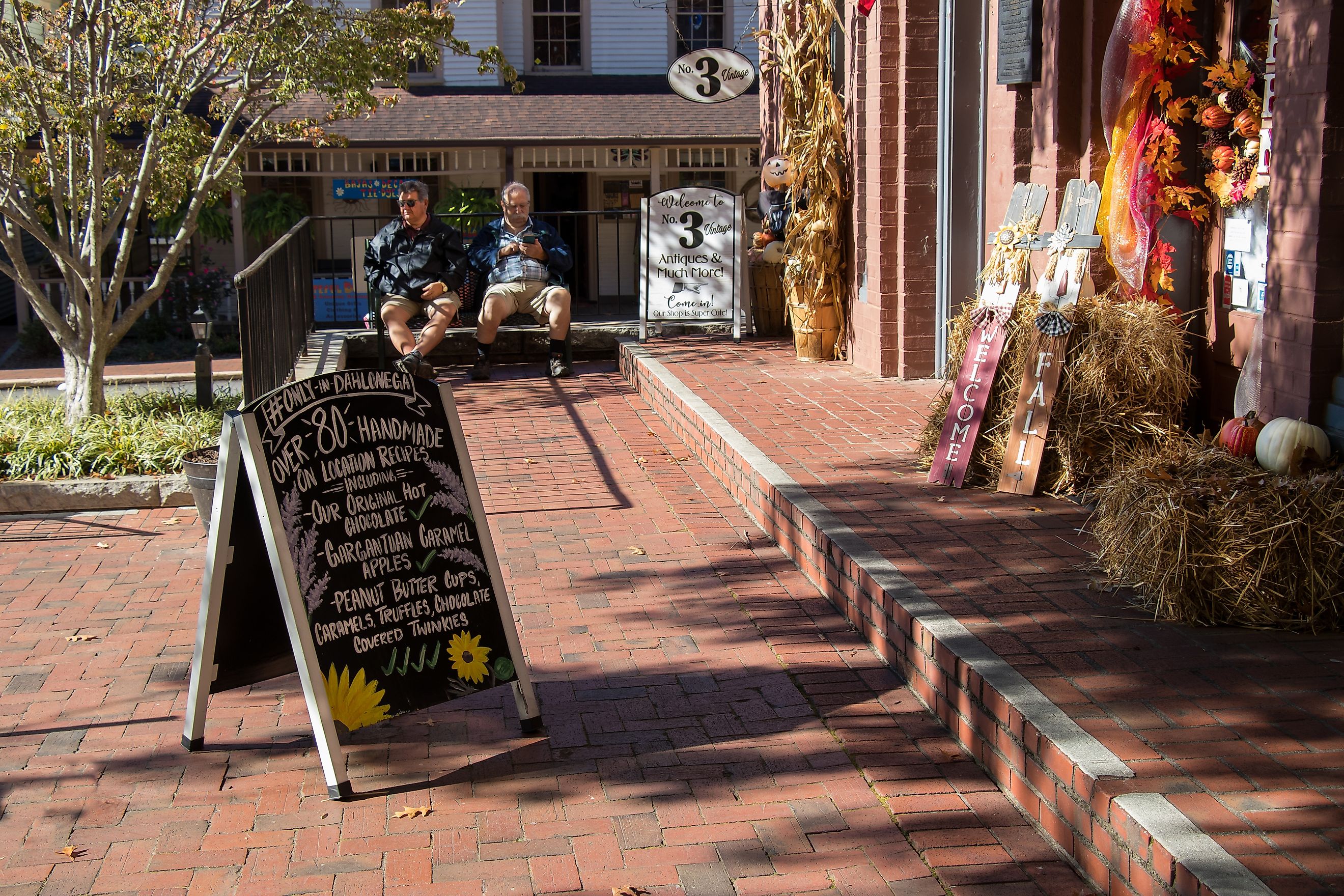 shop in downtown Dahlonega, Georgia. Editorial credit: Jen Wolf / Shutterstock.com