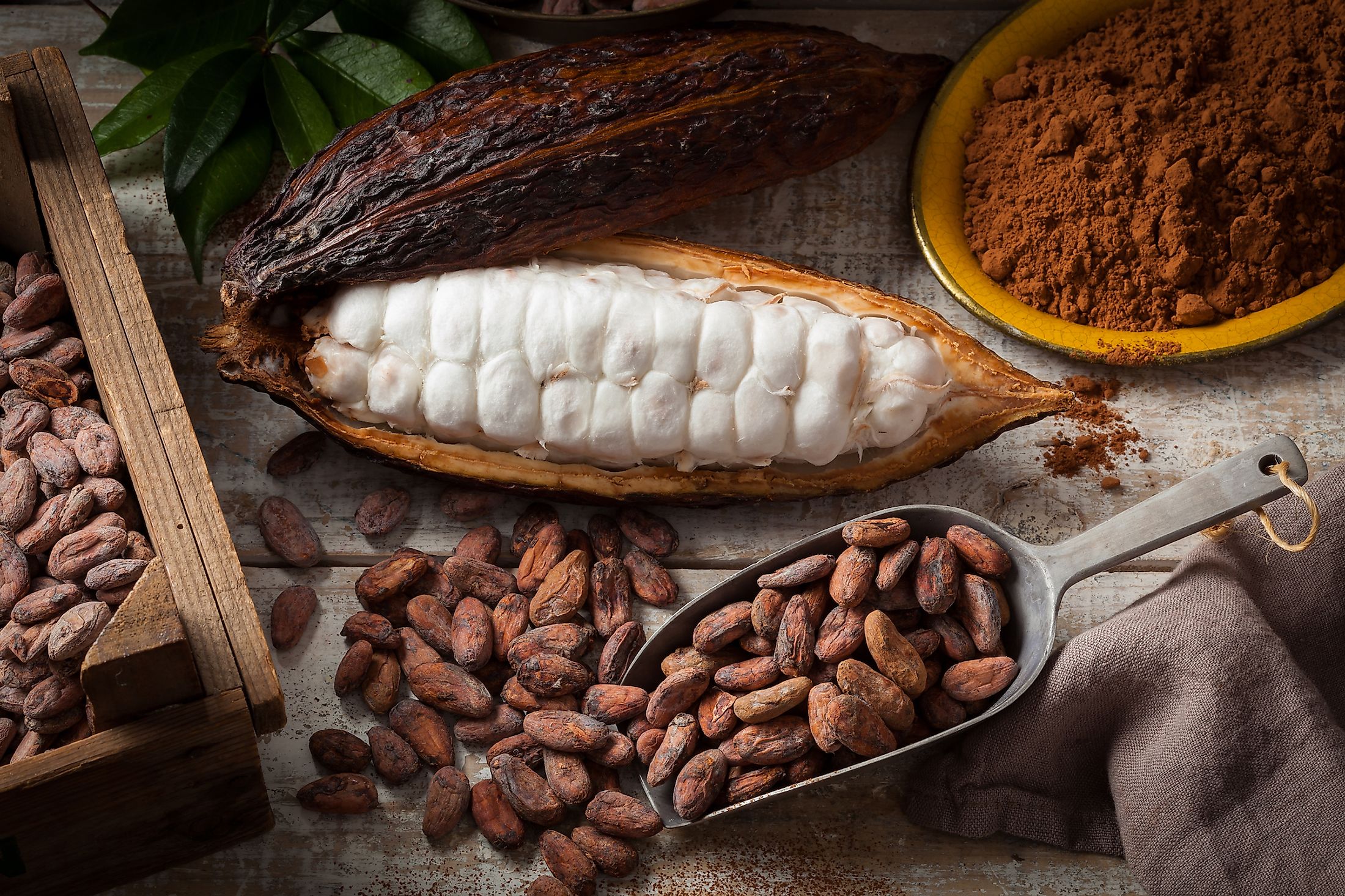 The Top Cocoa Producing Countries In The World WorldAtlas