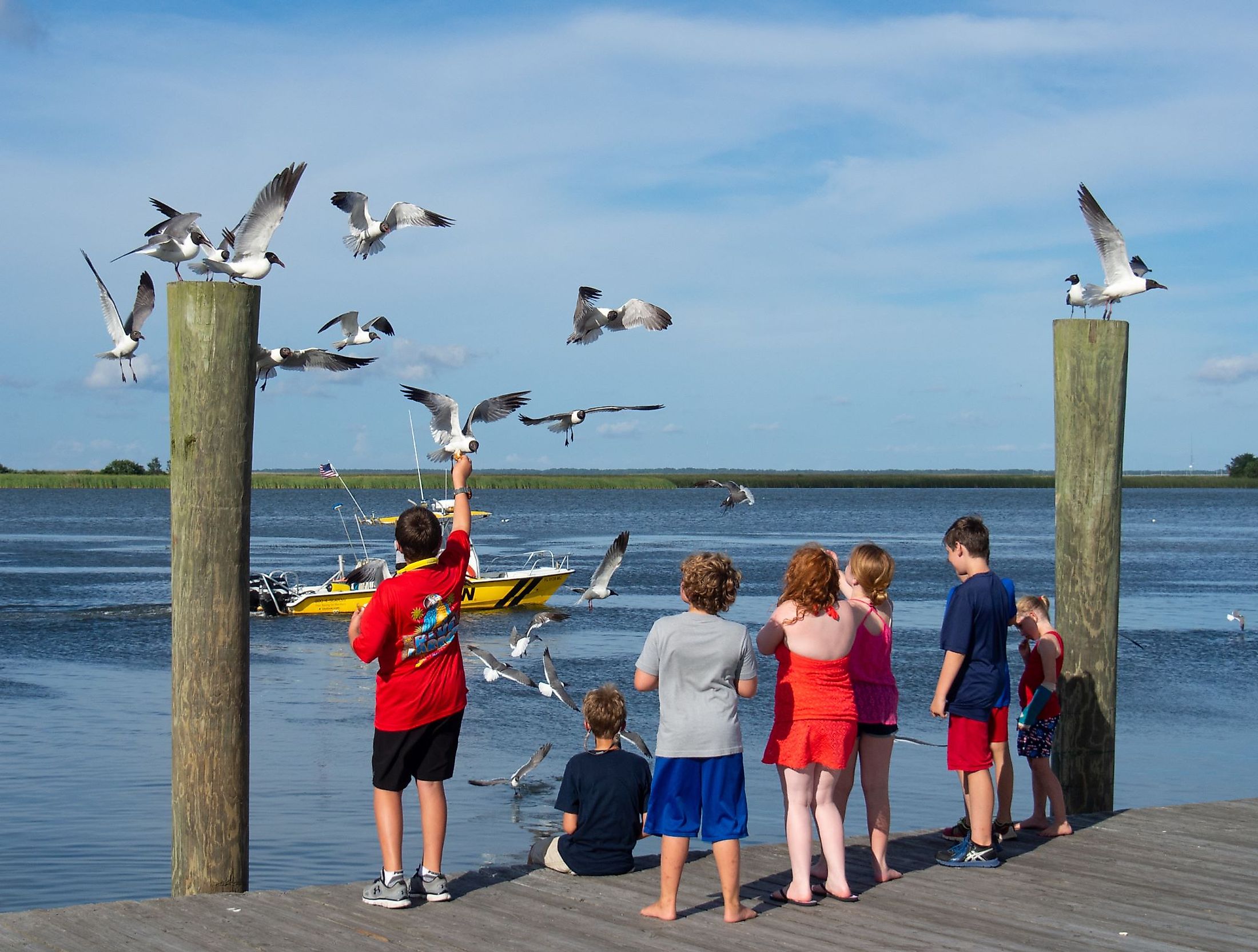 A group of children feeding the birds on the Apalachicola River dock in Apalachicola, Florida. Editorial credit: Leigh Trail / Shutterstock.com