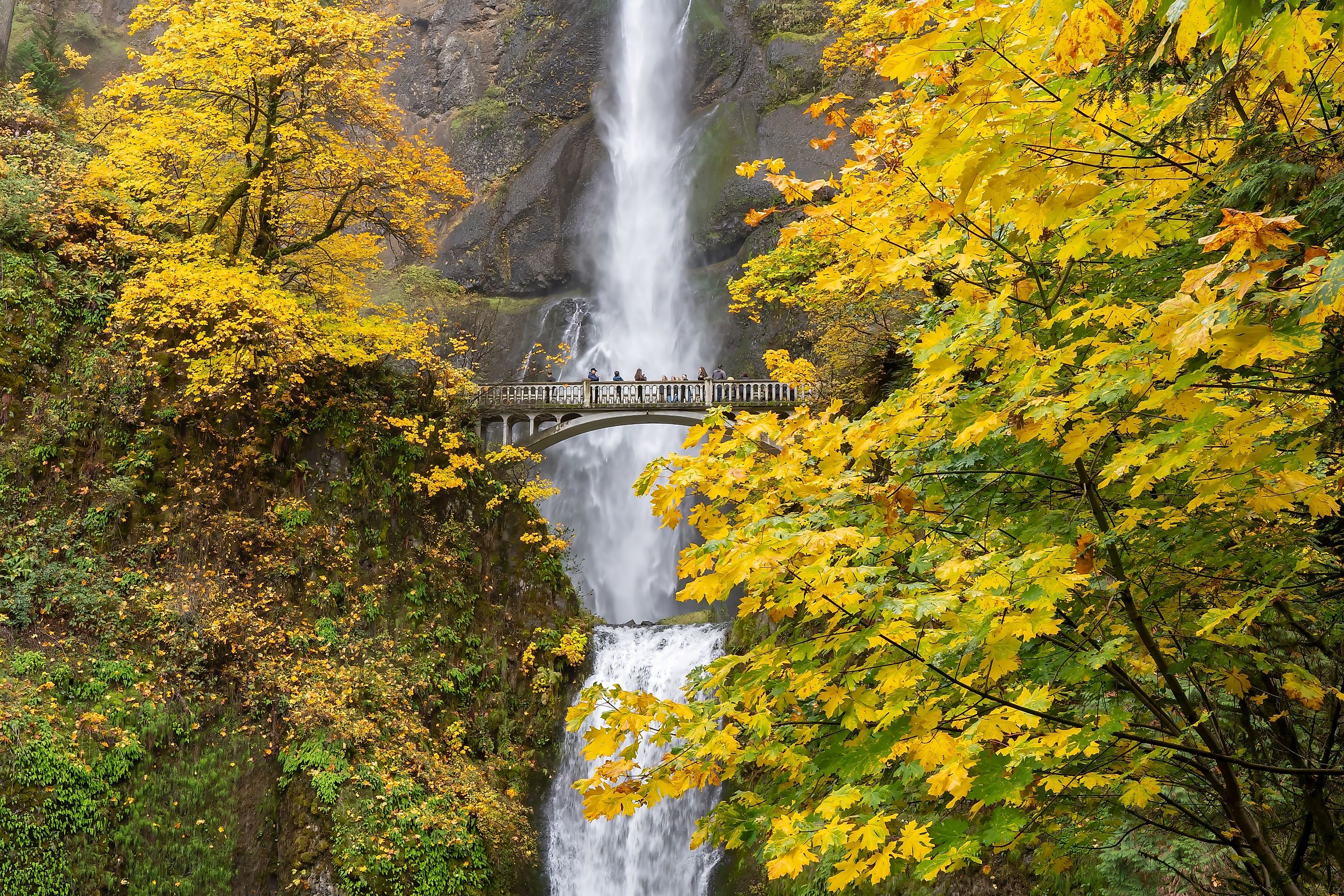 People stand on the footbridge over Multnomah Falls. Editorial credit: Bob Pool / Shutterstock.com