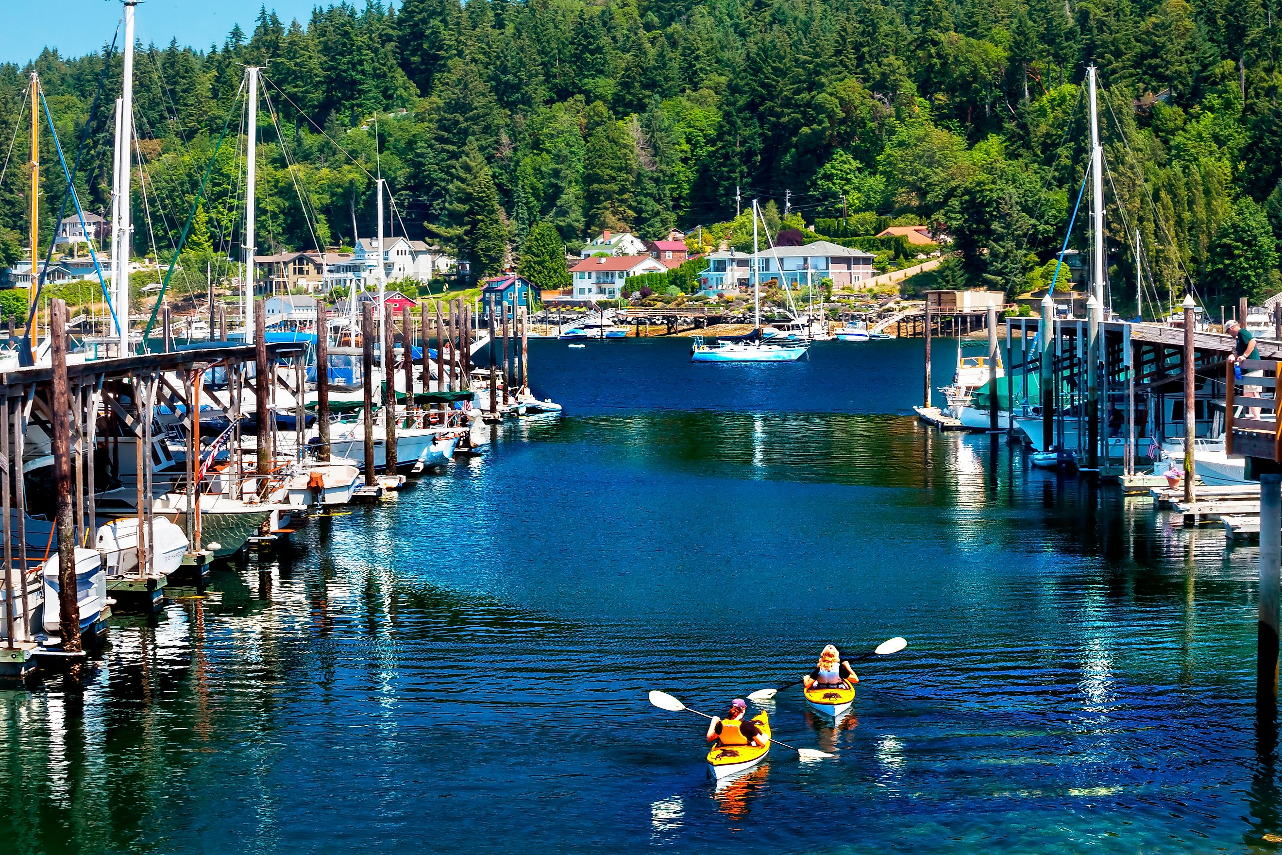 White Sailboats Marina Kayaks Reflection, Gig Harbor, Pierce County, Washington State