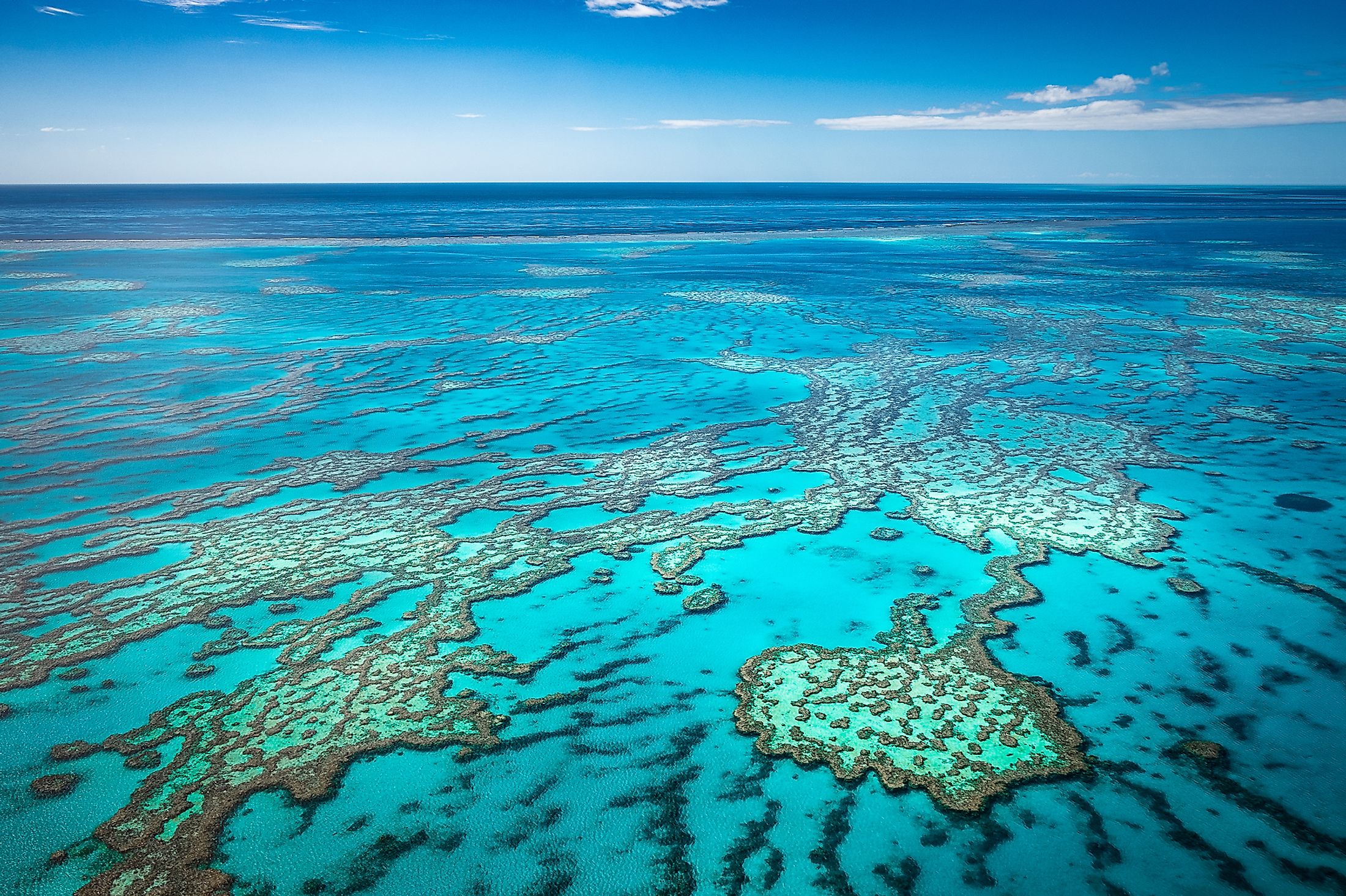 Top Facts About The Great Barrier Reef Worldatlas My Xxx Hot Girl