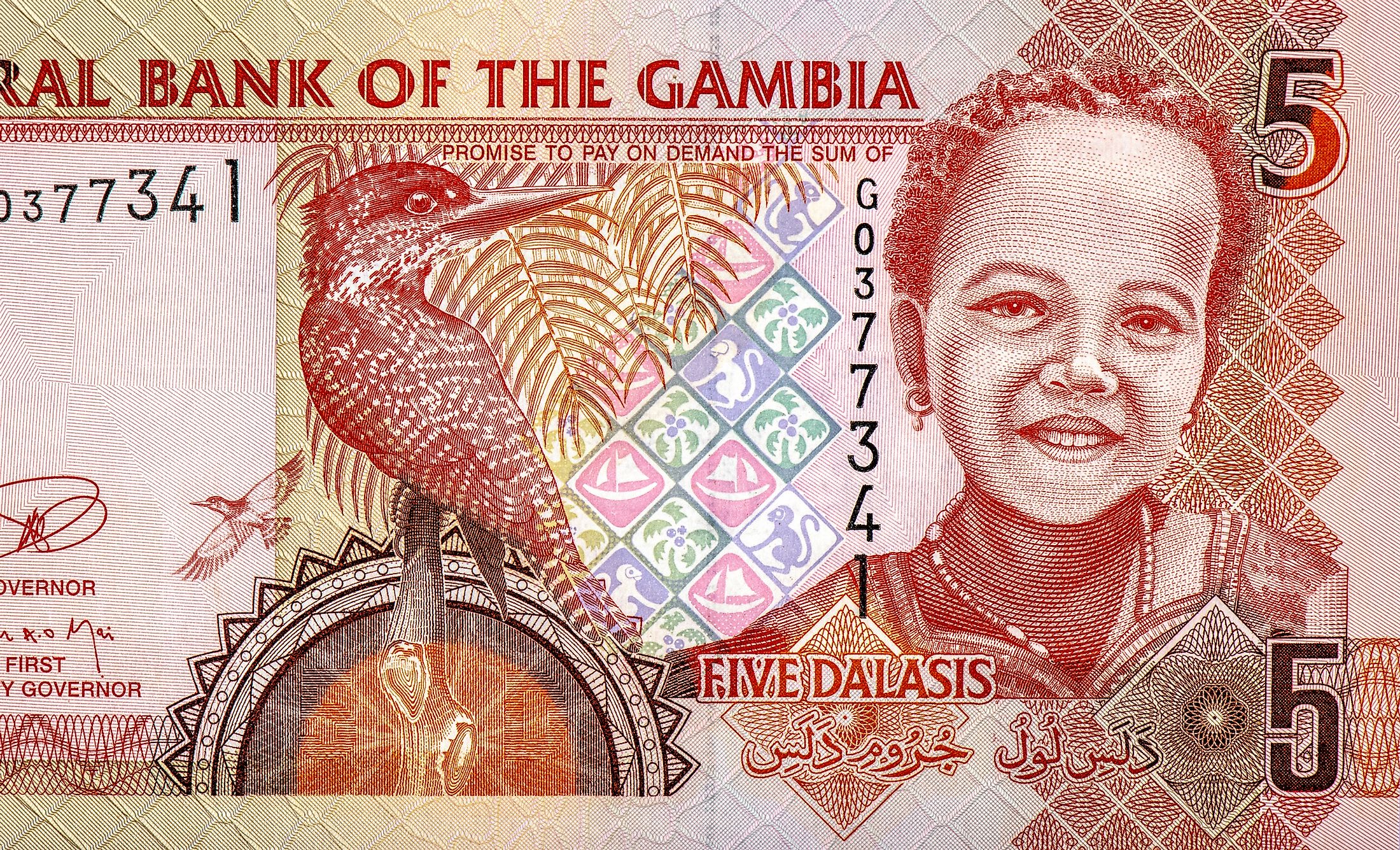 What Is The Currency Of The Gambia? - WorldAtlas