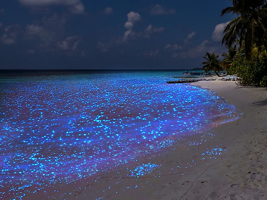 maldives sea of stars