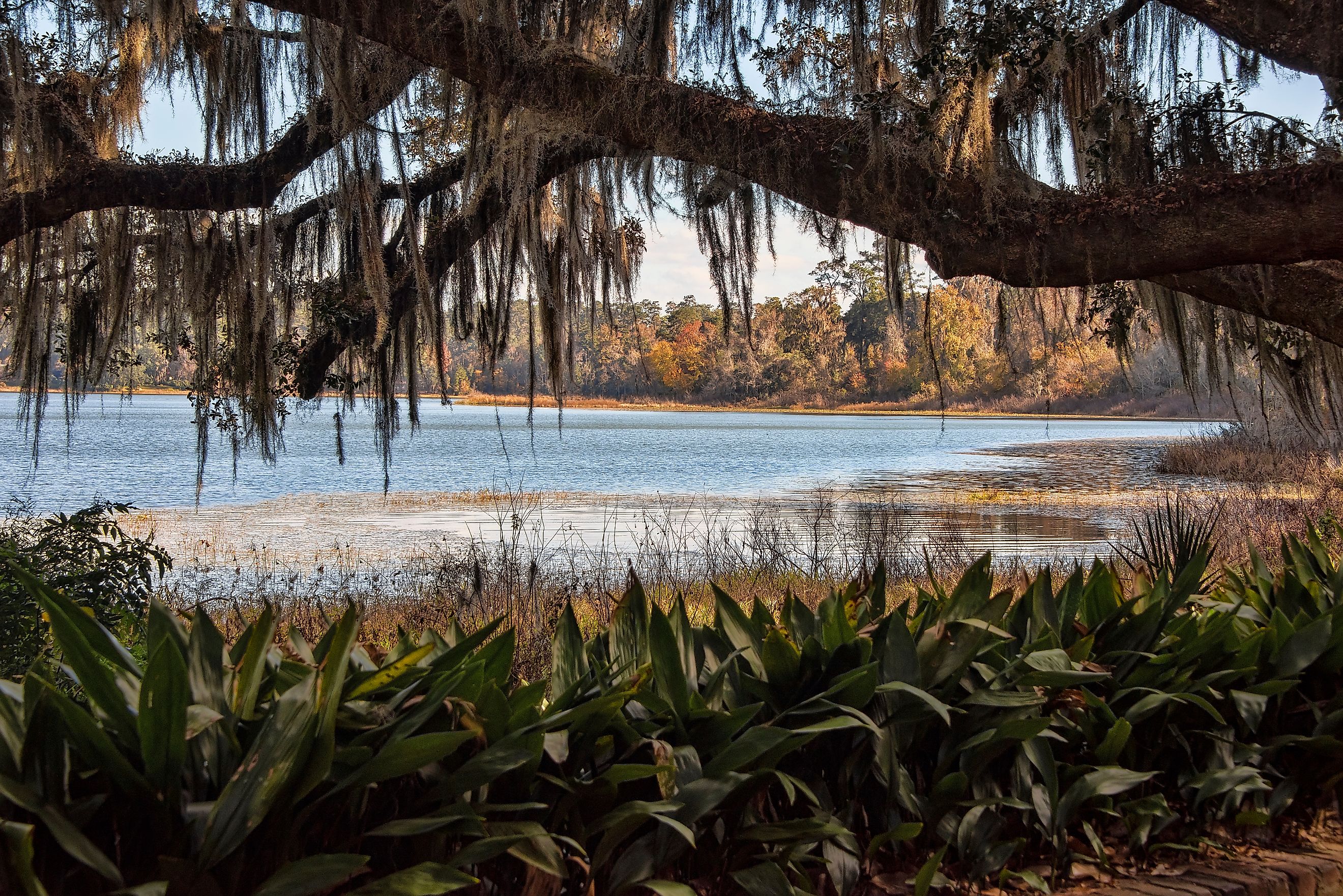 Scenic view of Lake Overstreet in Alfred B. Maclay State Gardens, Tallahassee, Florida.