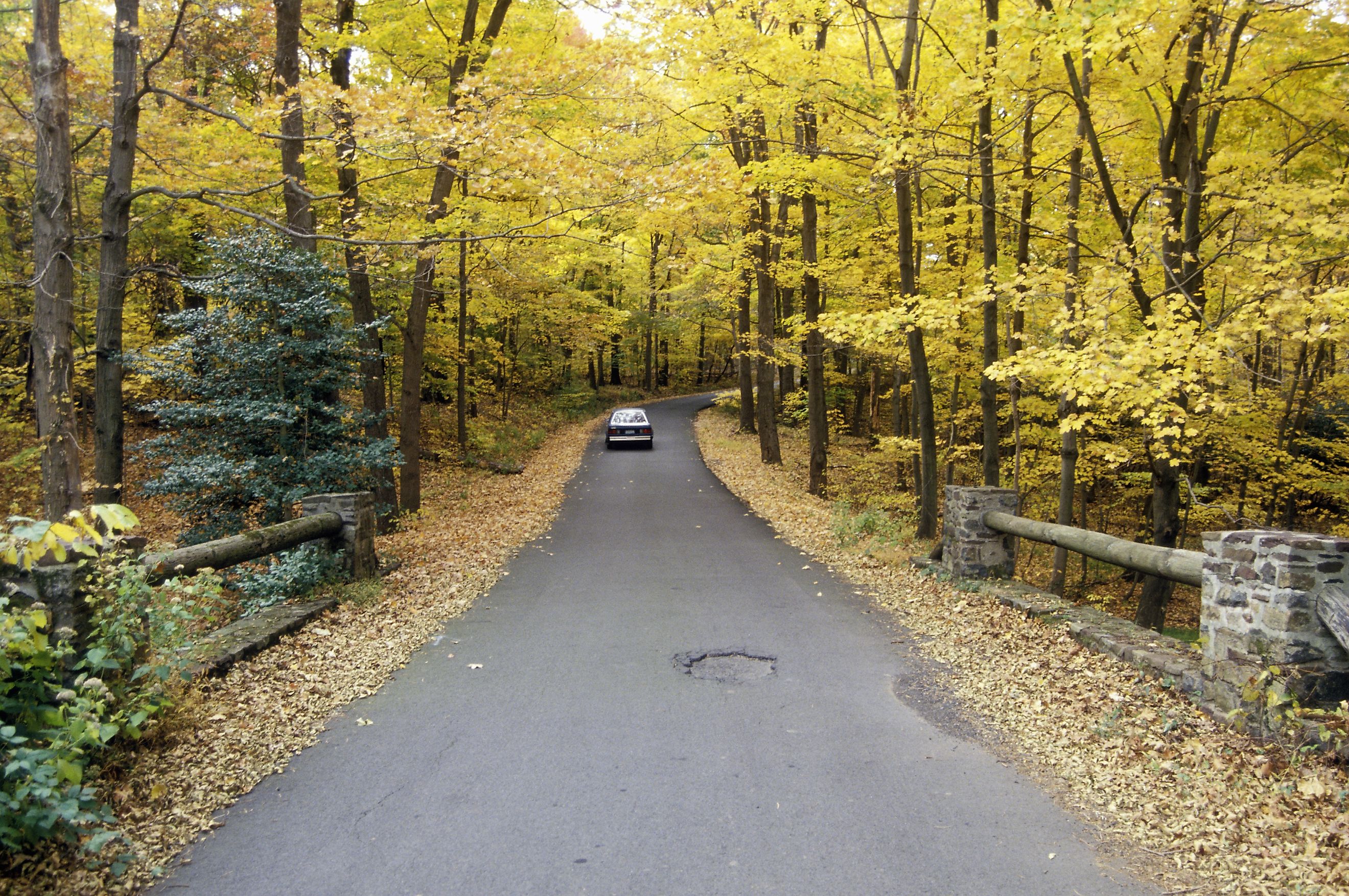 A car travelling along Route 29 in New Jersey.