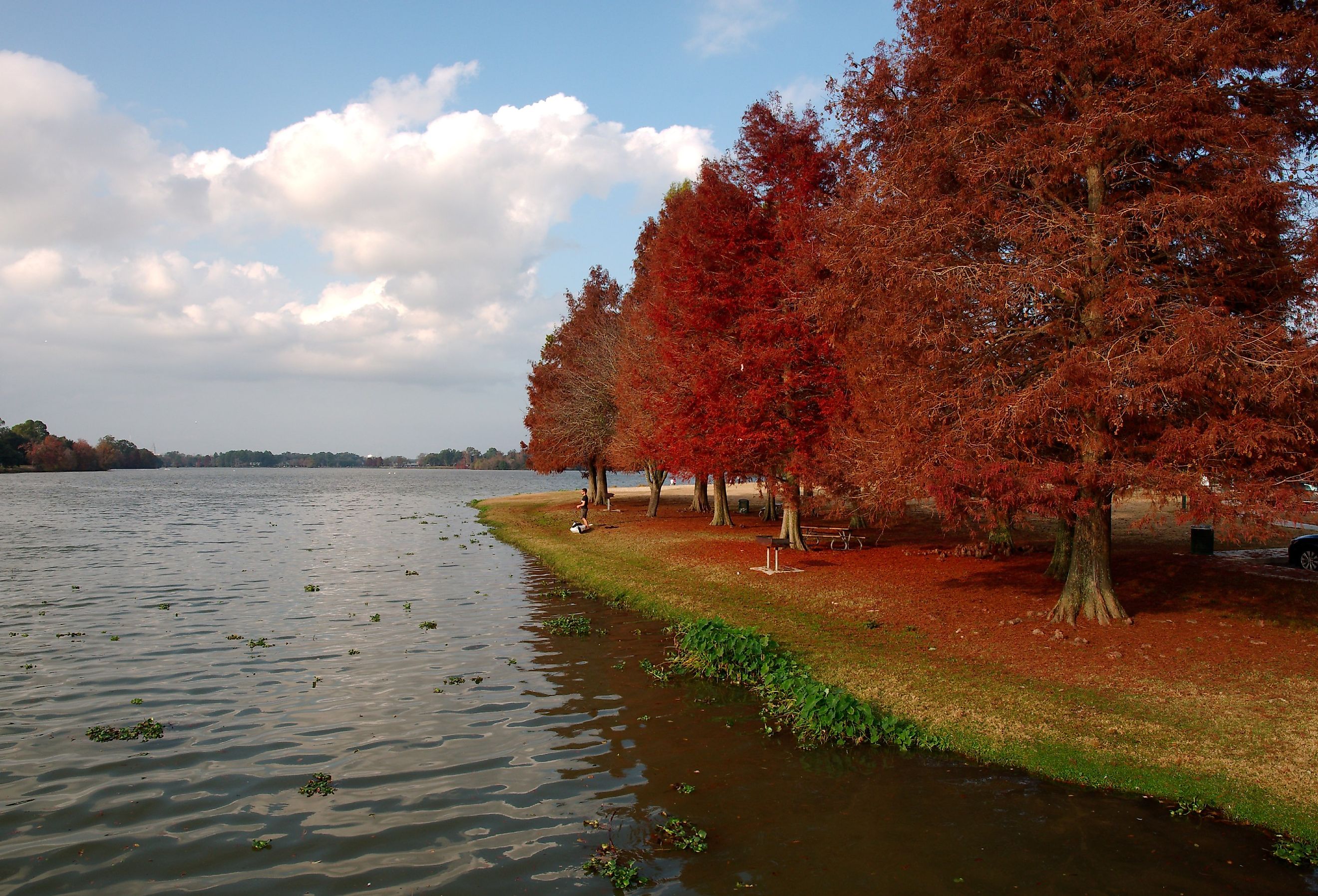 7 Must-Haves to Make the Most of Fall in Louisiana