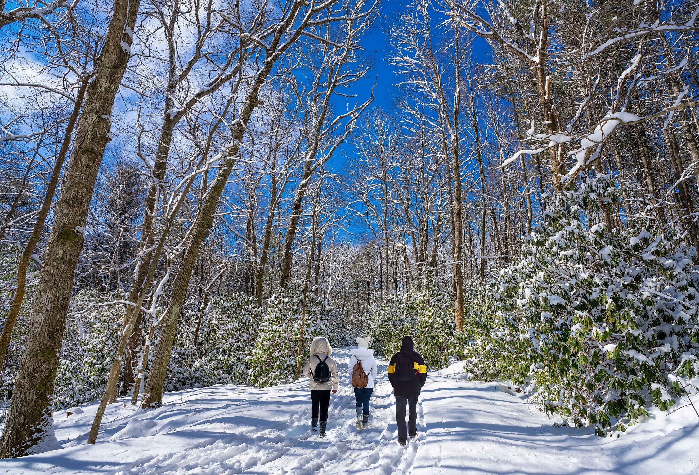 Family hiking in Blowing Rock, just off Blue Ridge Parkway.